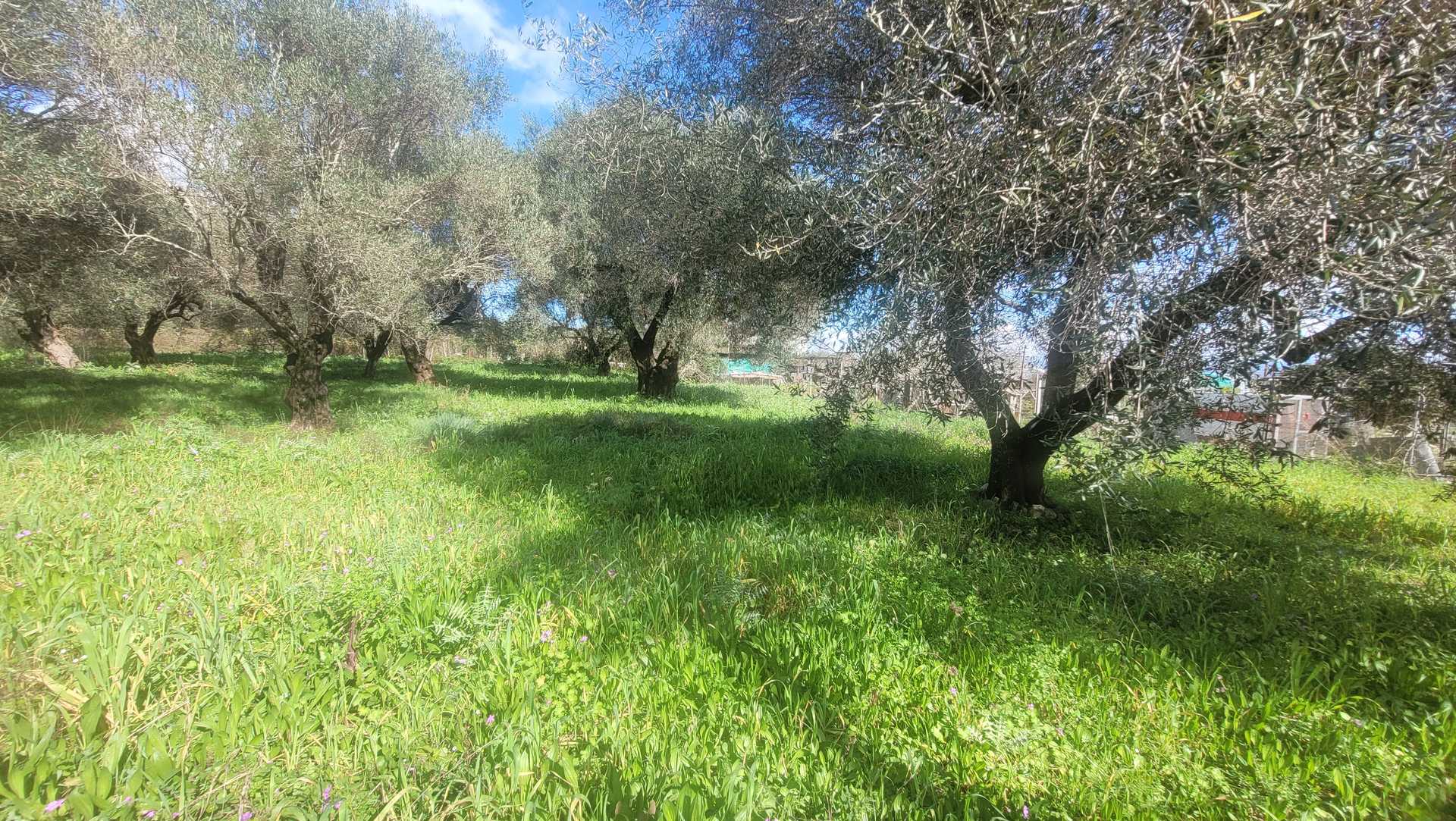 Property thumbnail 3