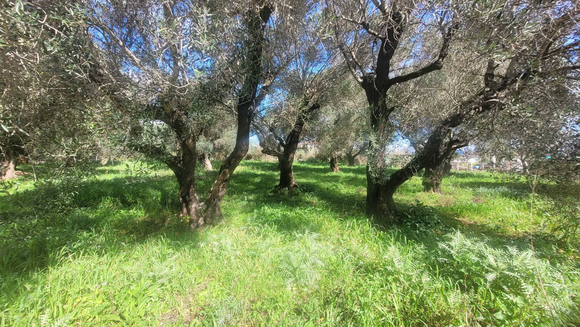 Property thumbnail 2