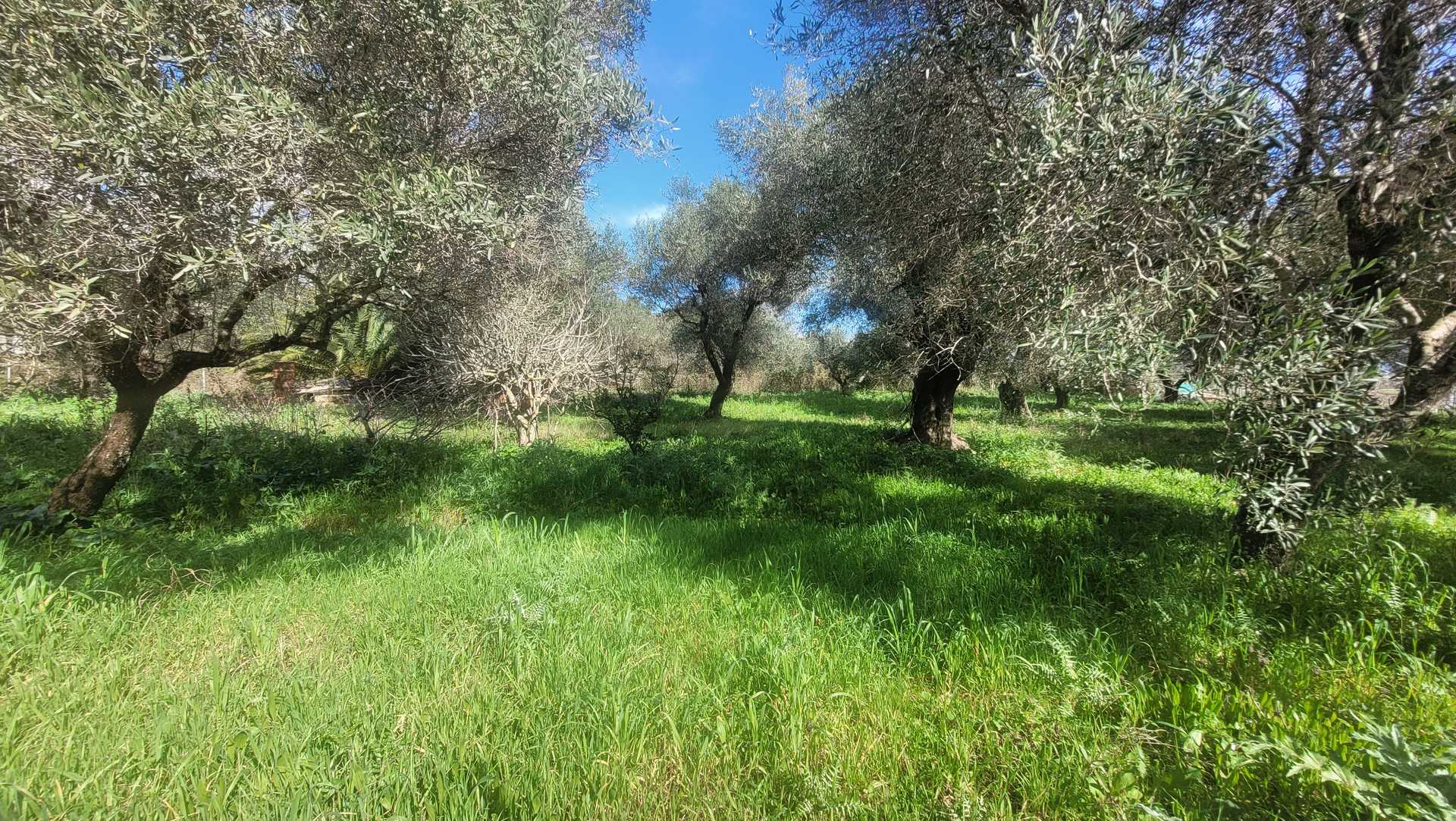 Property thumbnail 4