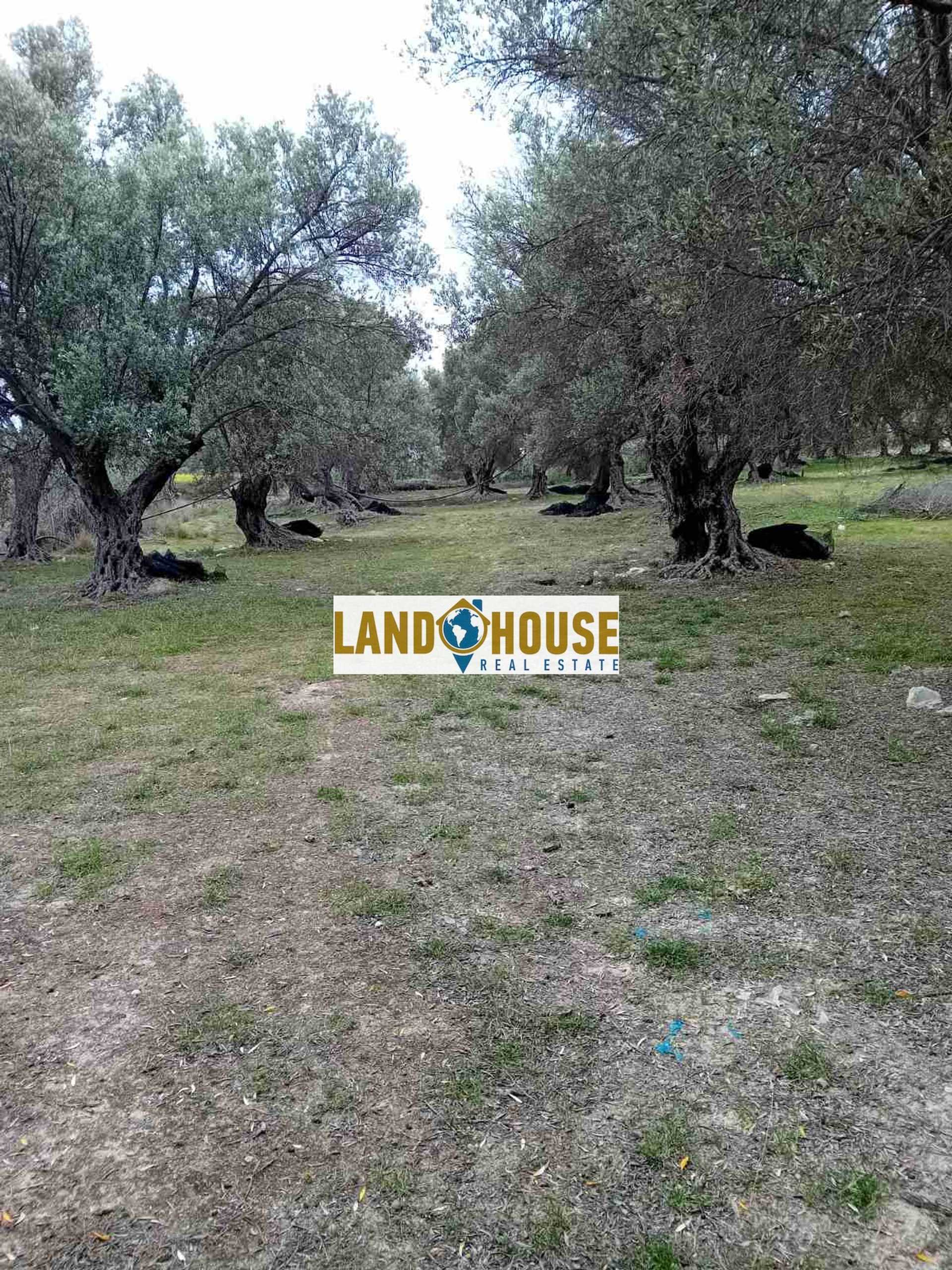 Property thumbnail 3