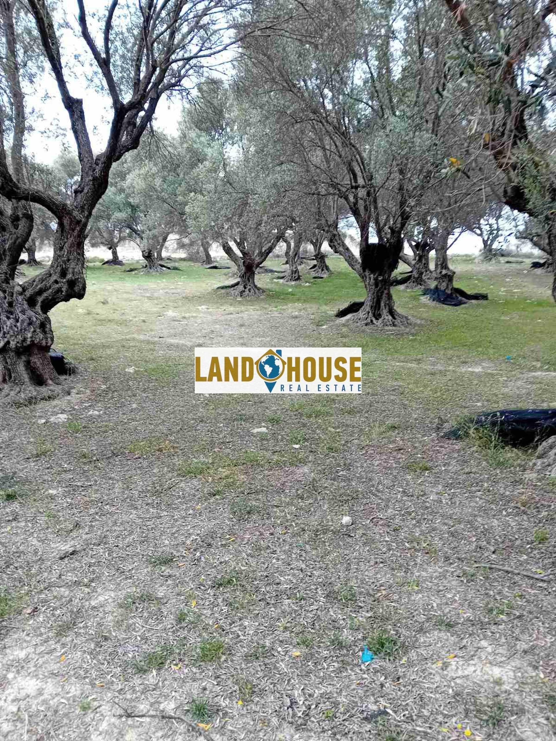 Property thumbnail 4