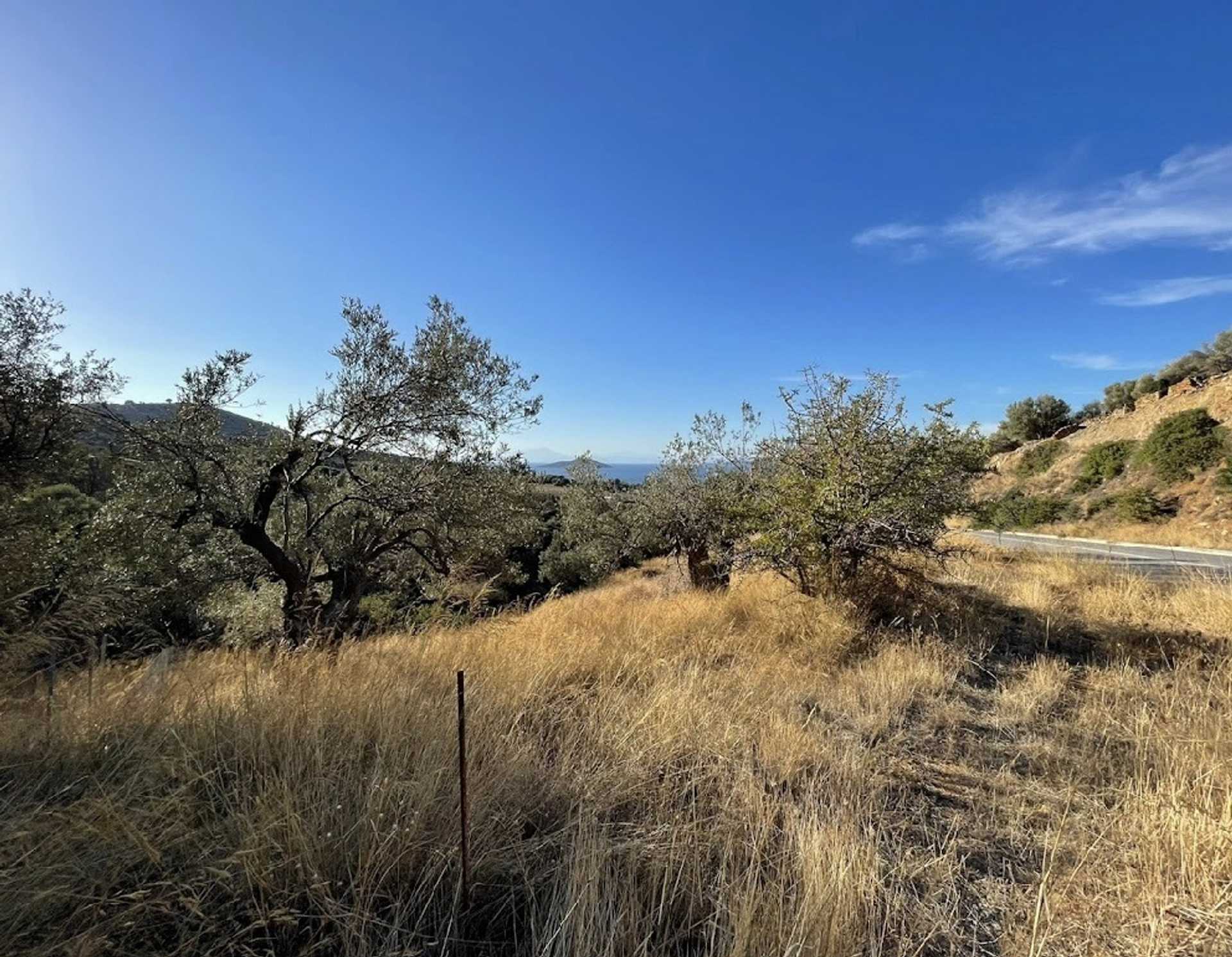 Property thumbnail 3