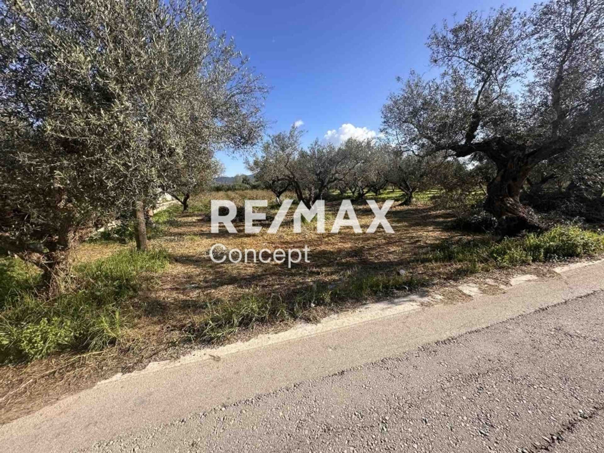 Property thumbnail 4