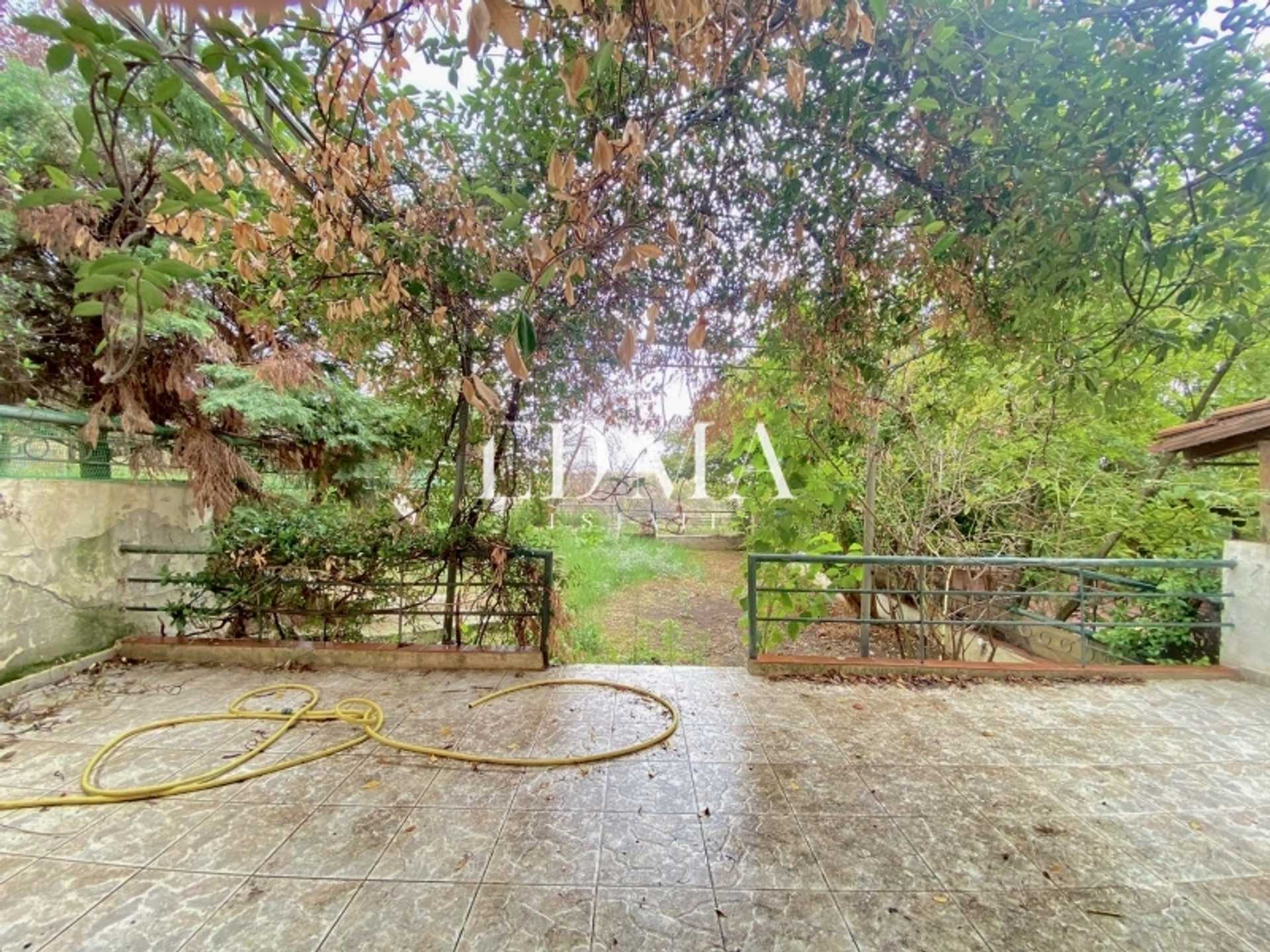 דופלקס, תרמי, סלוניקי