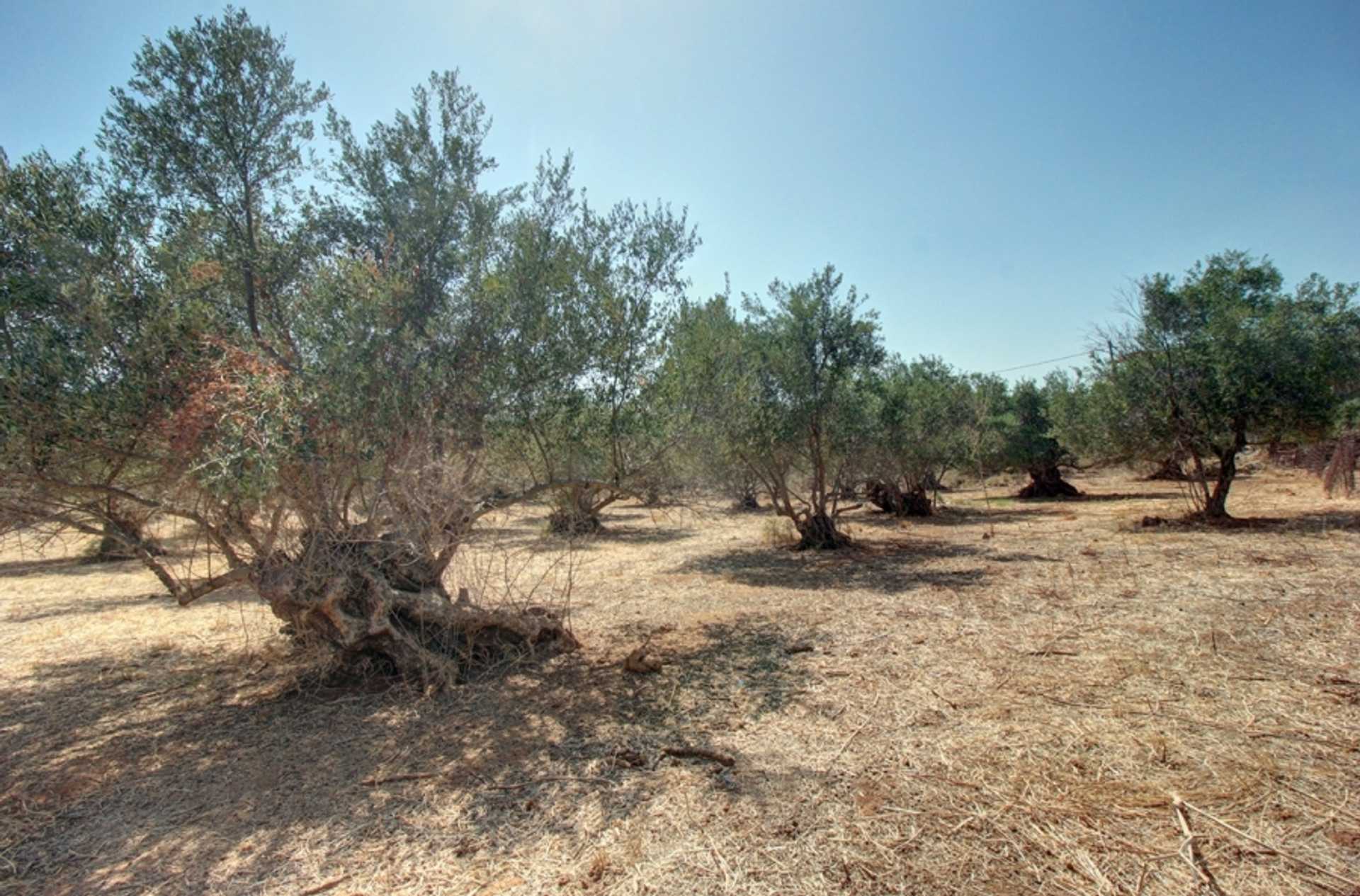 Property thumbnail 3