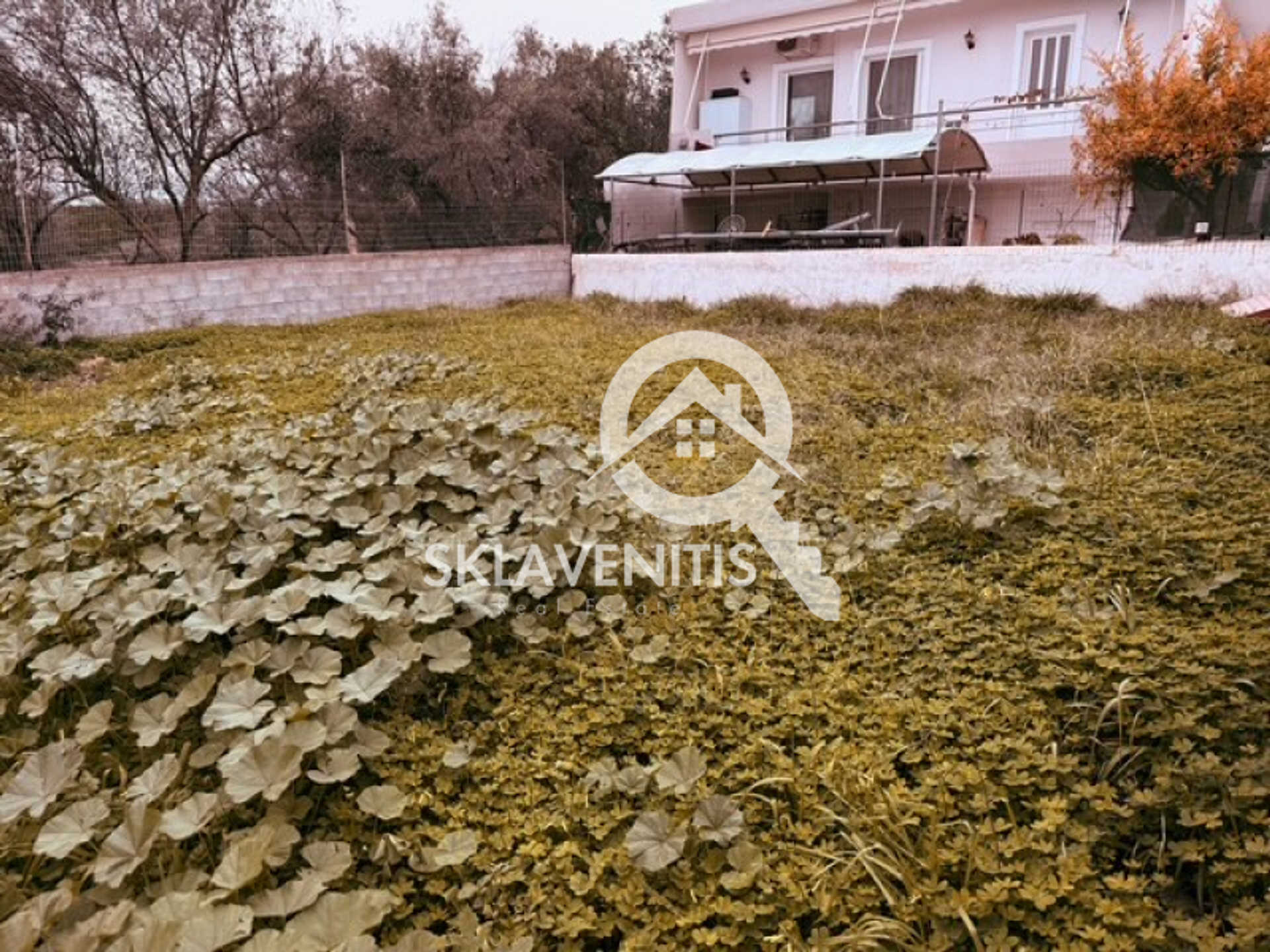 Property thumbnail 3