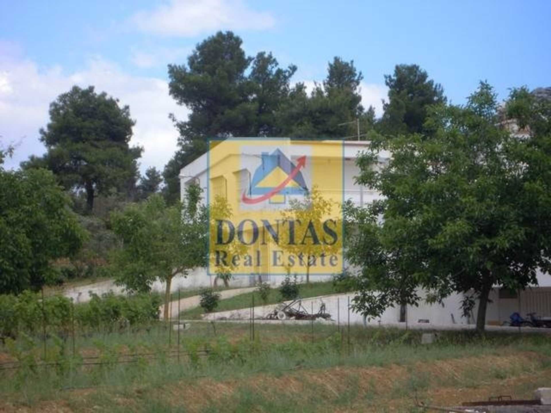 Property thumbnail 3