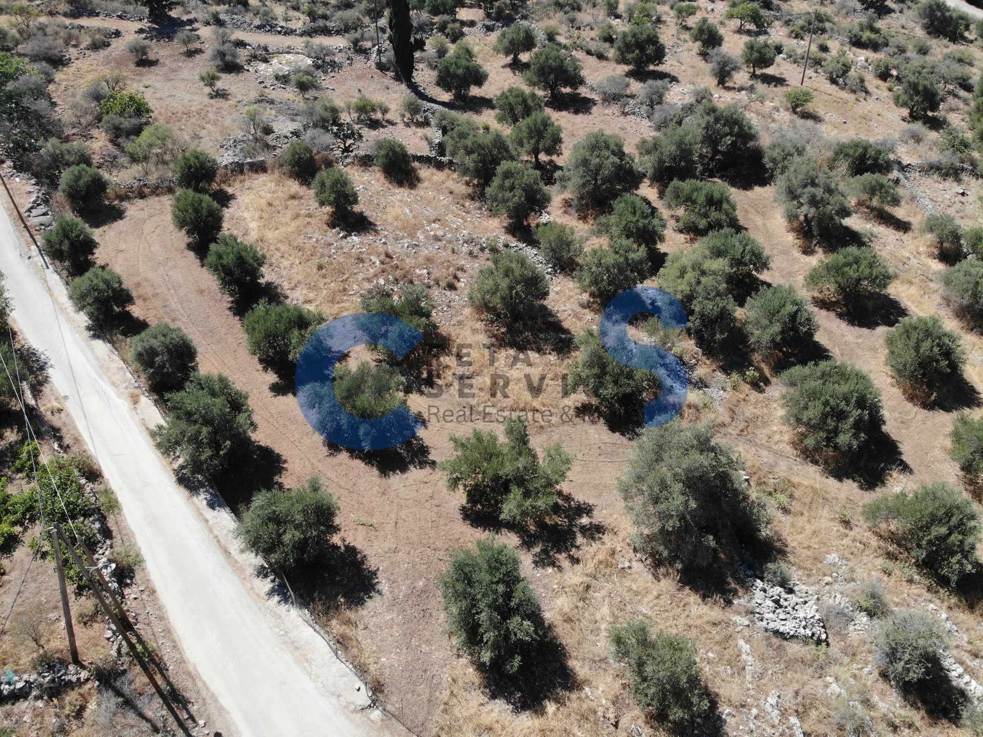 Property thumbnail 4