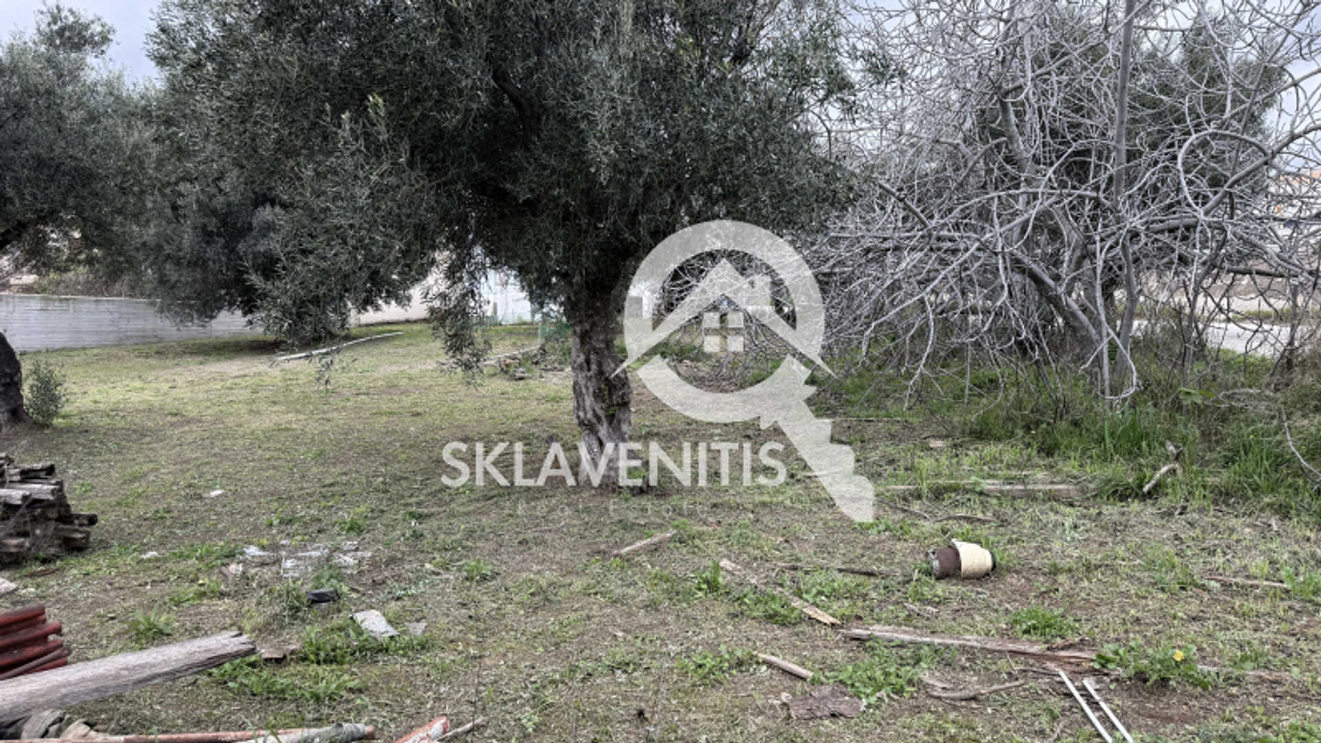 Property thumbnail 2