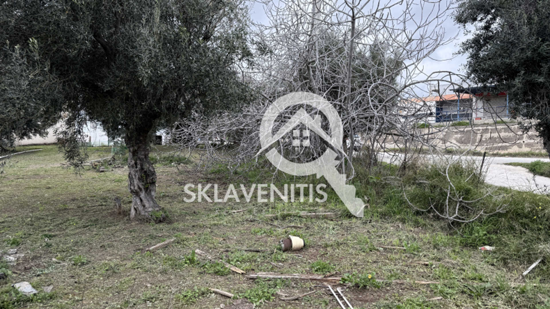 Property thumbnail 4