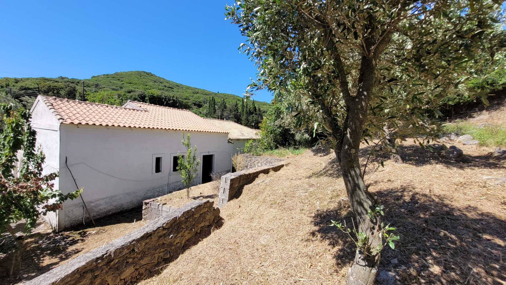 Property thumbnail 3