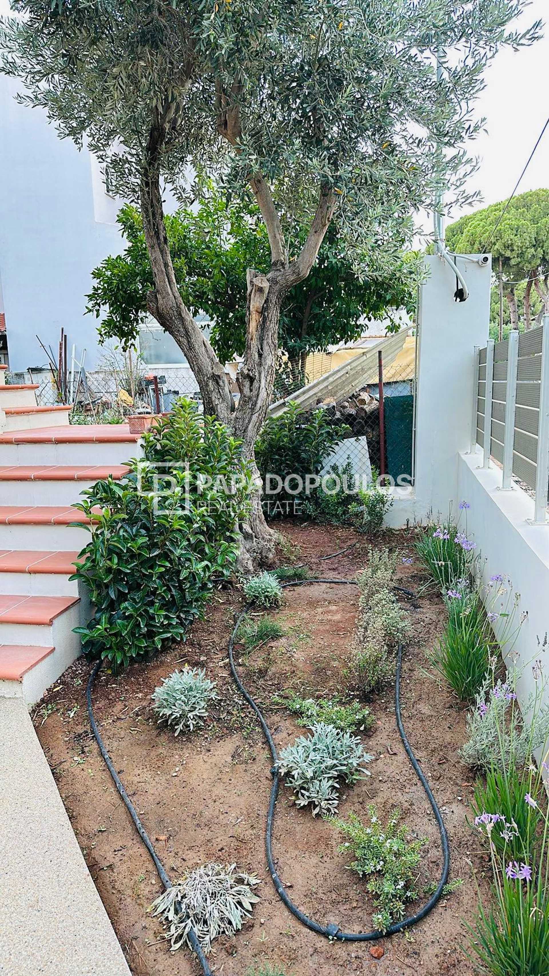 Property thumbnail 3