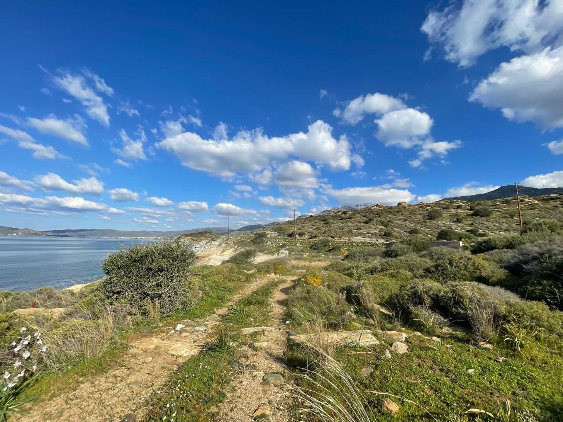 Property thumbnail 3