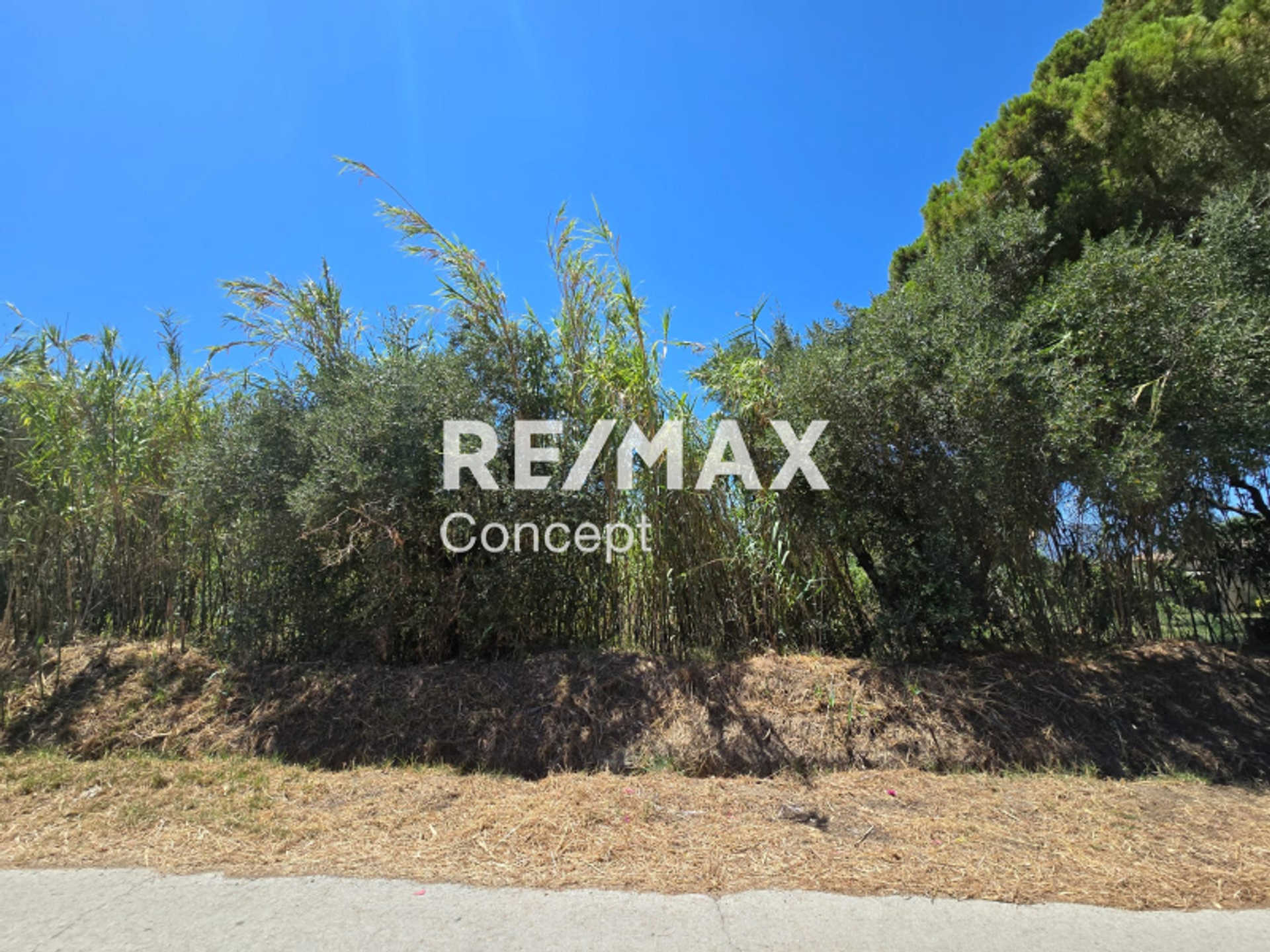 Property thumbnail 4