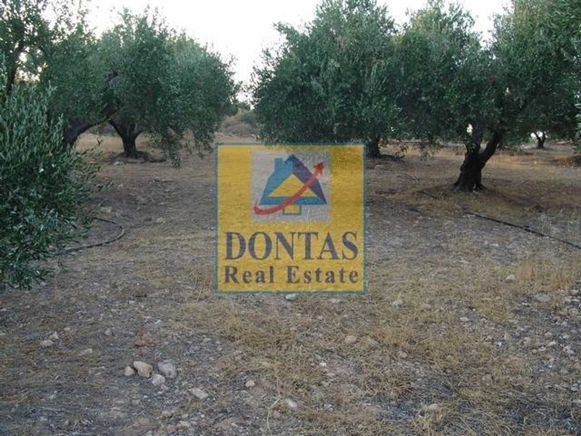 Property thumbnail 3