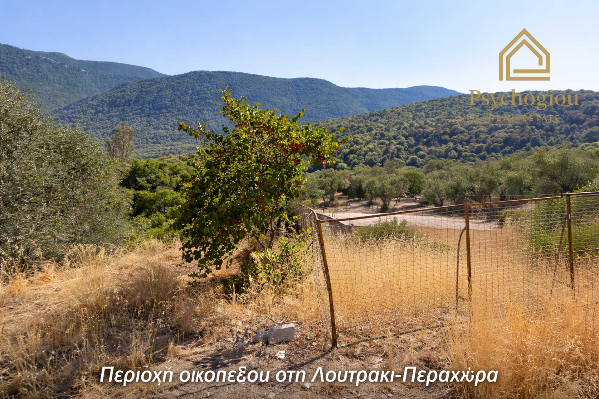 Property thumbnail 4