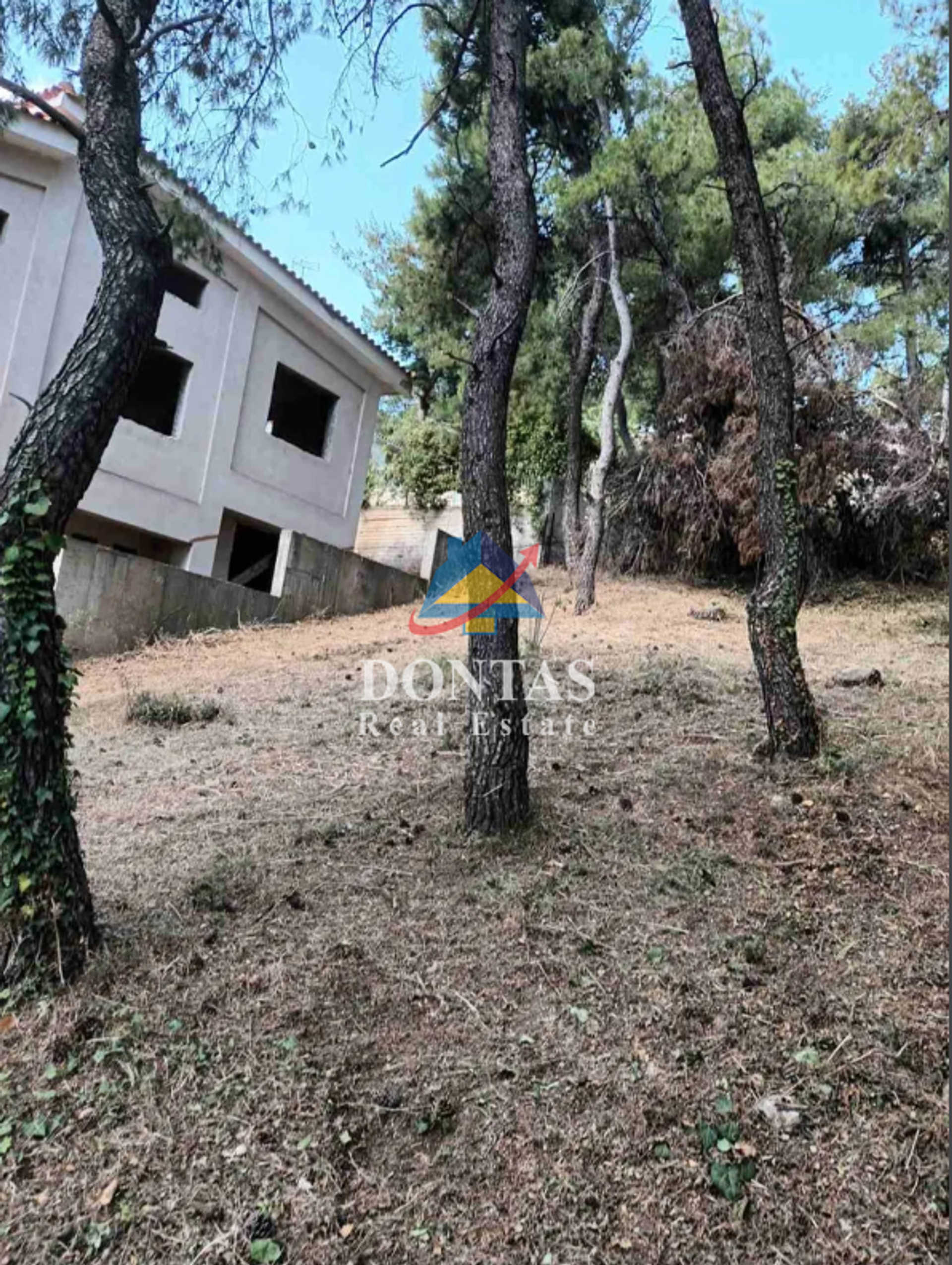 Property thumbnail 2