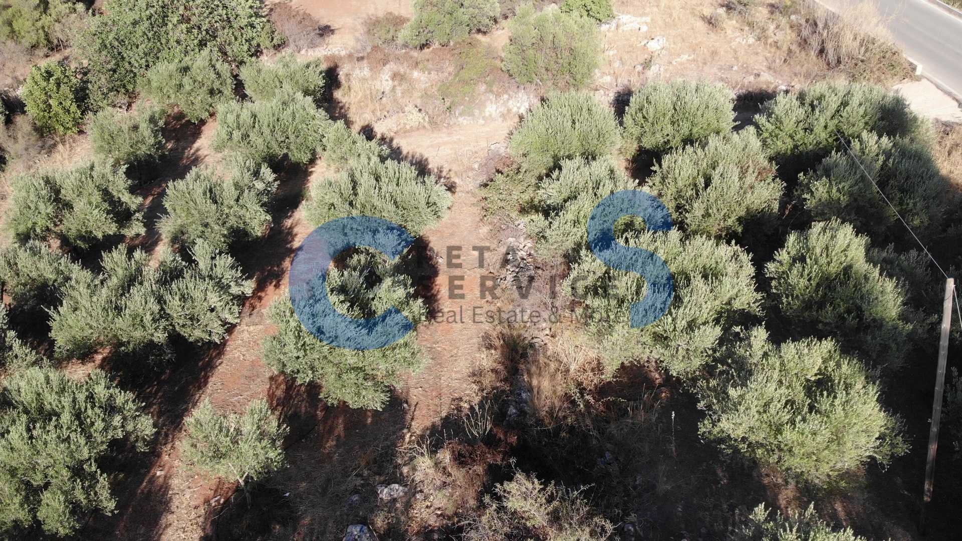 Property thumbnail 3