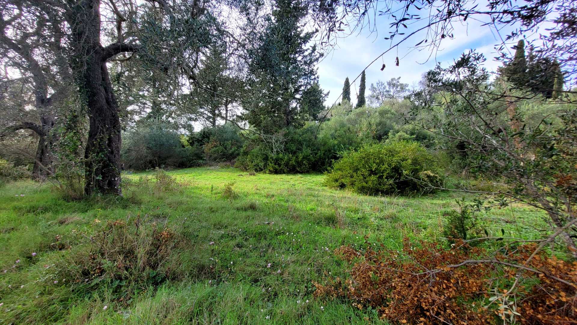 Property thumbnail 3