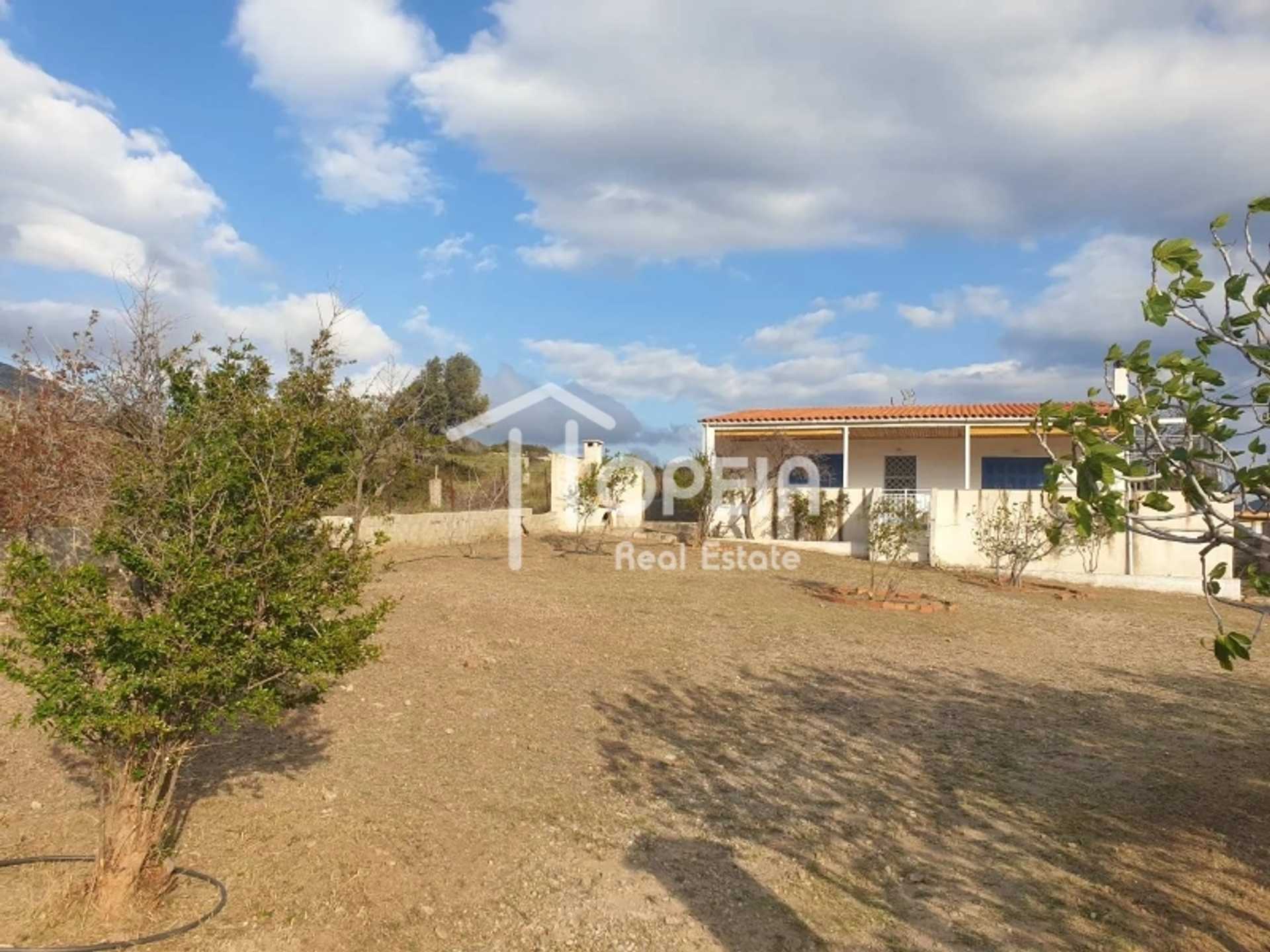 Property thumbnail 3