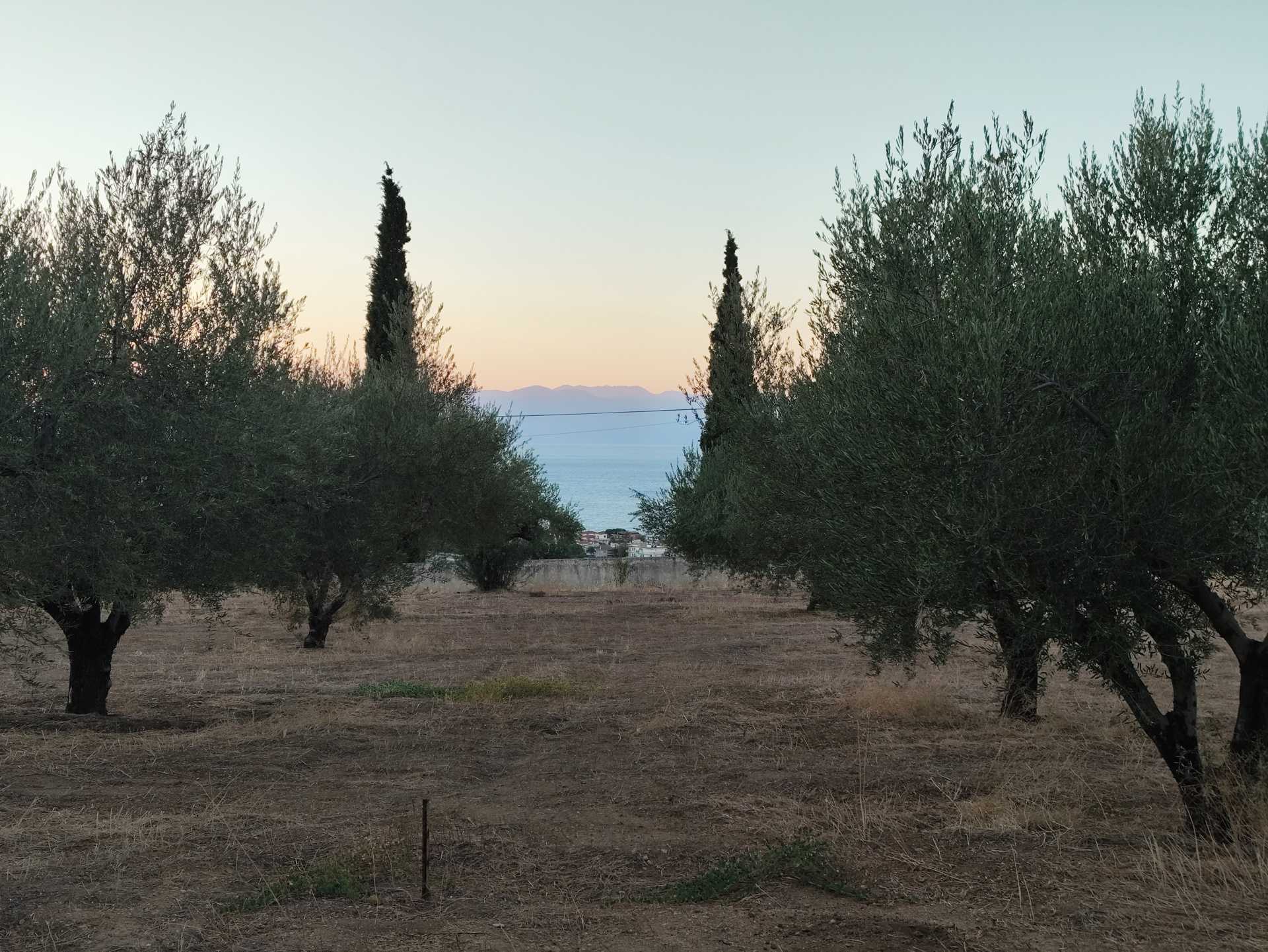 Property thumbnail 4