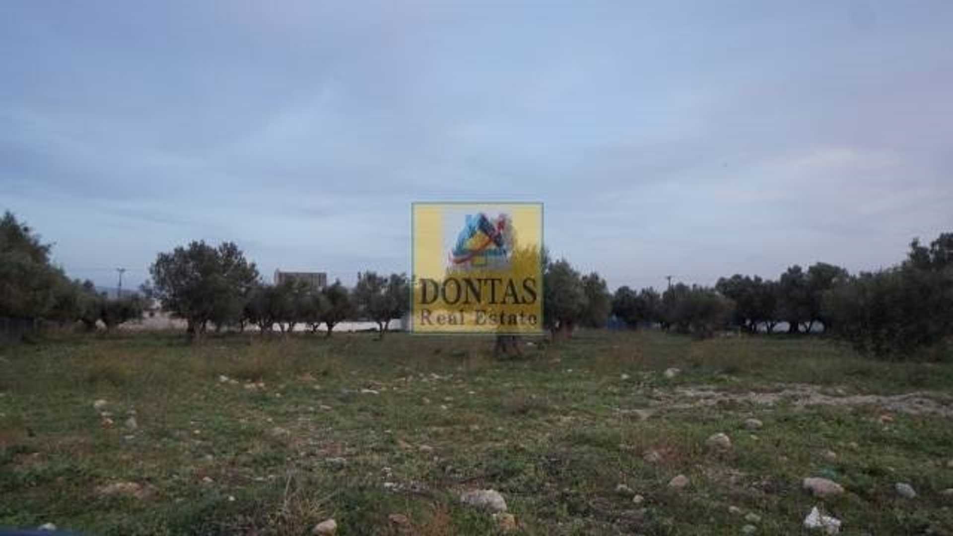 Property thumbnail 3