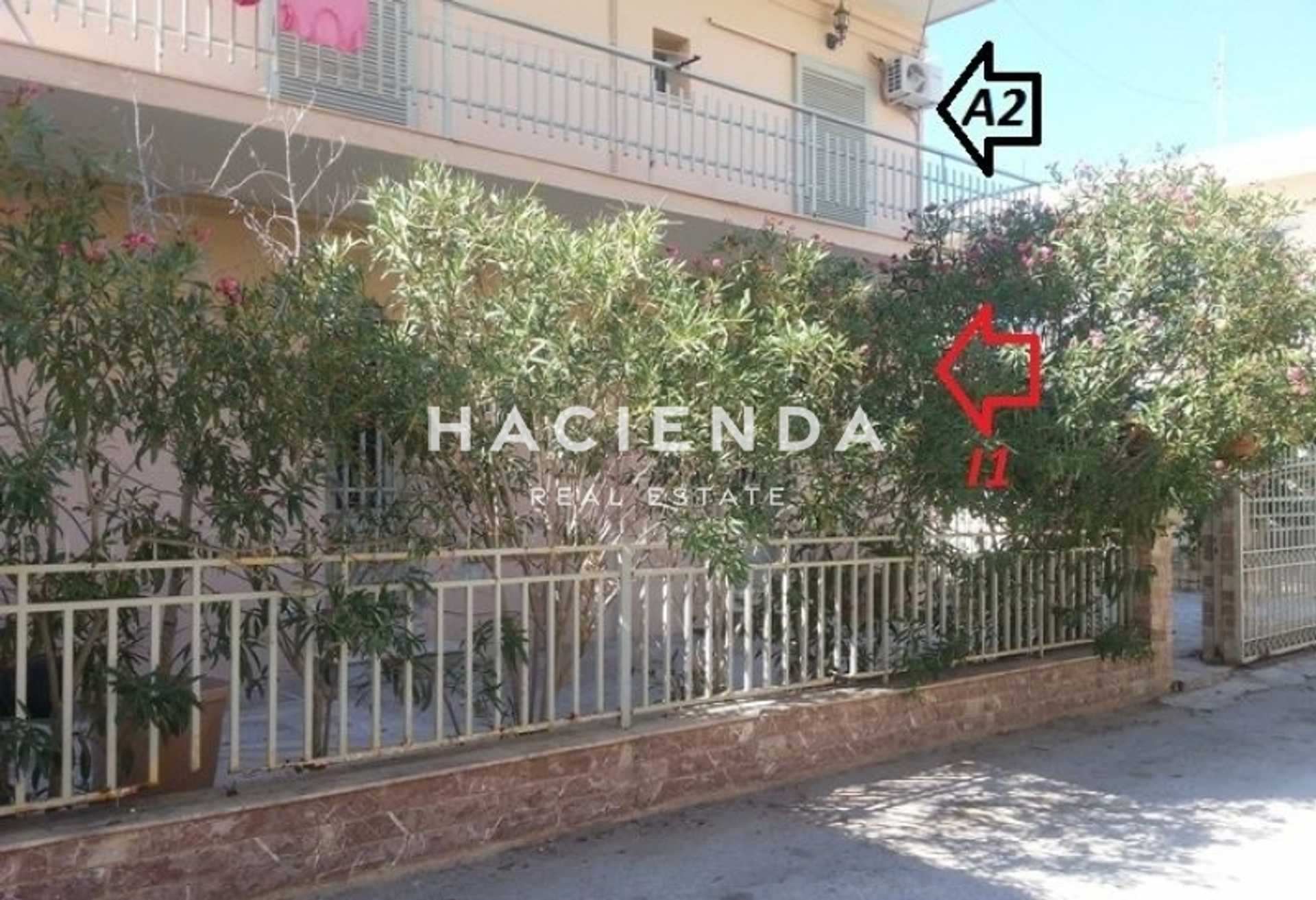 בית, ארמיונידה, פלופונס