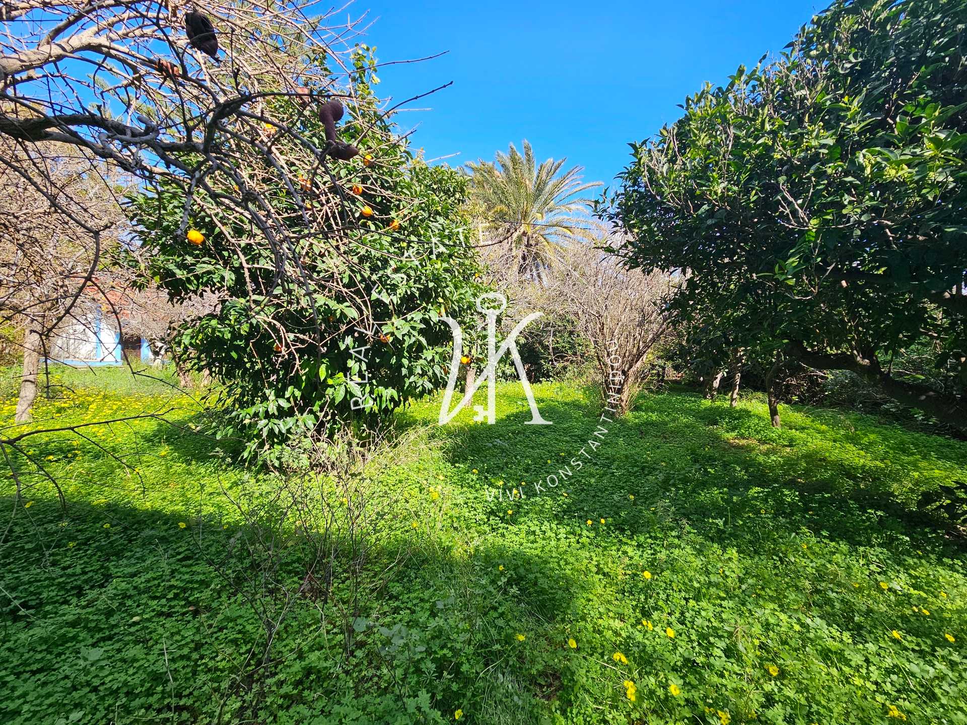 Property thumbnail 4