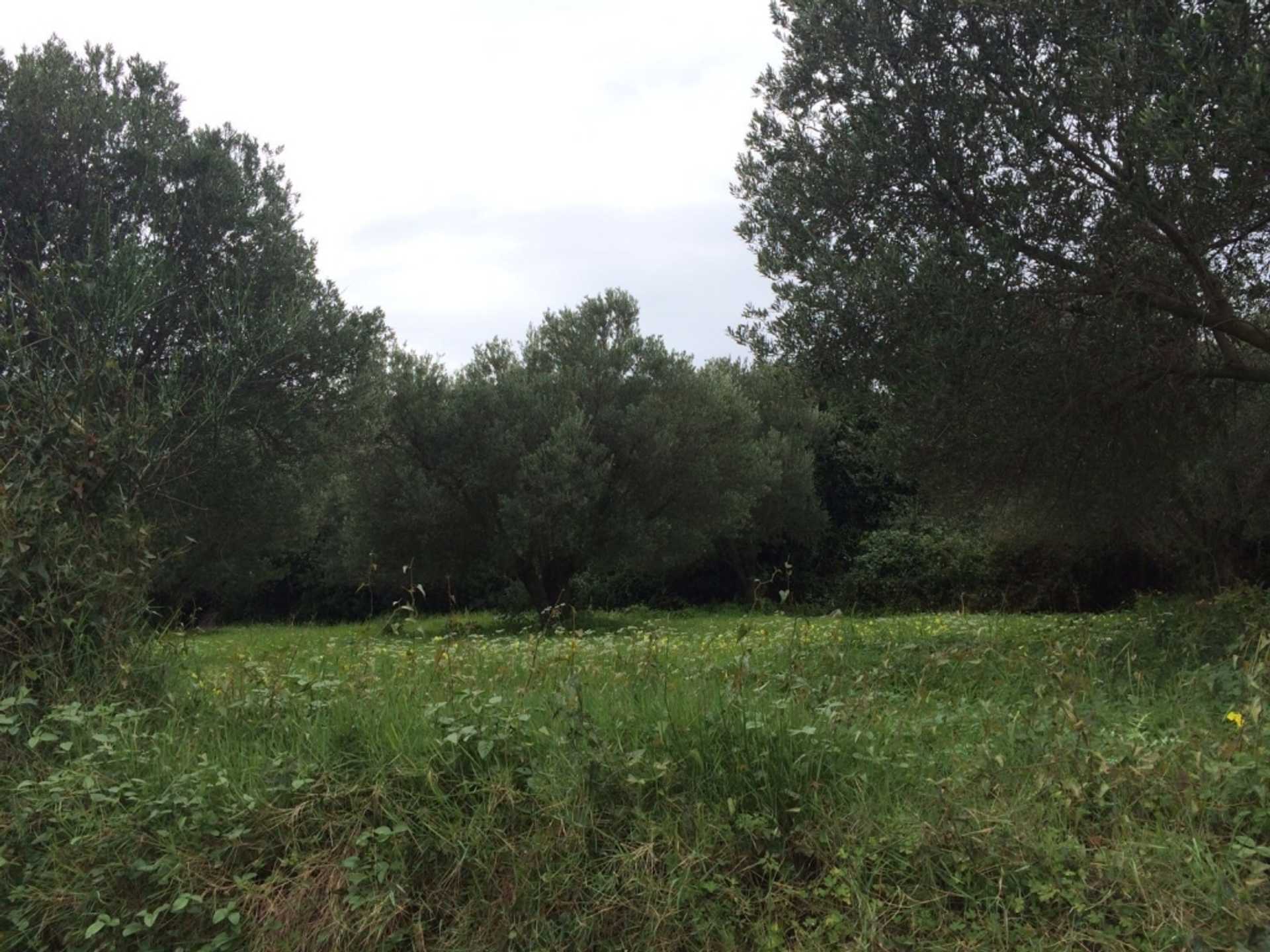 Property thumbnail 4