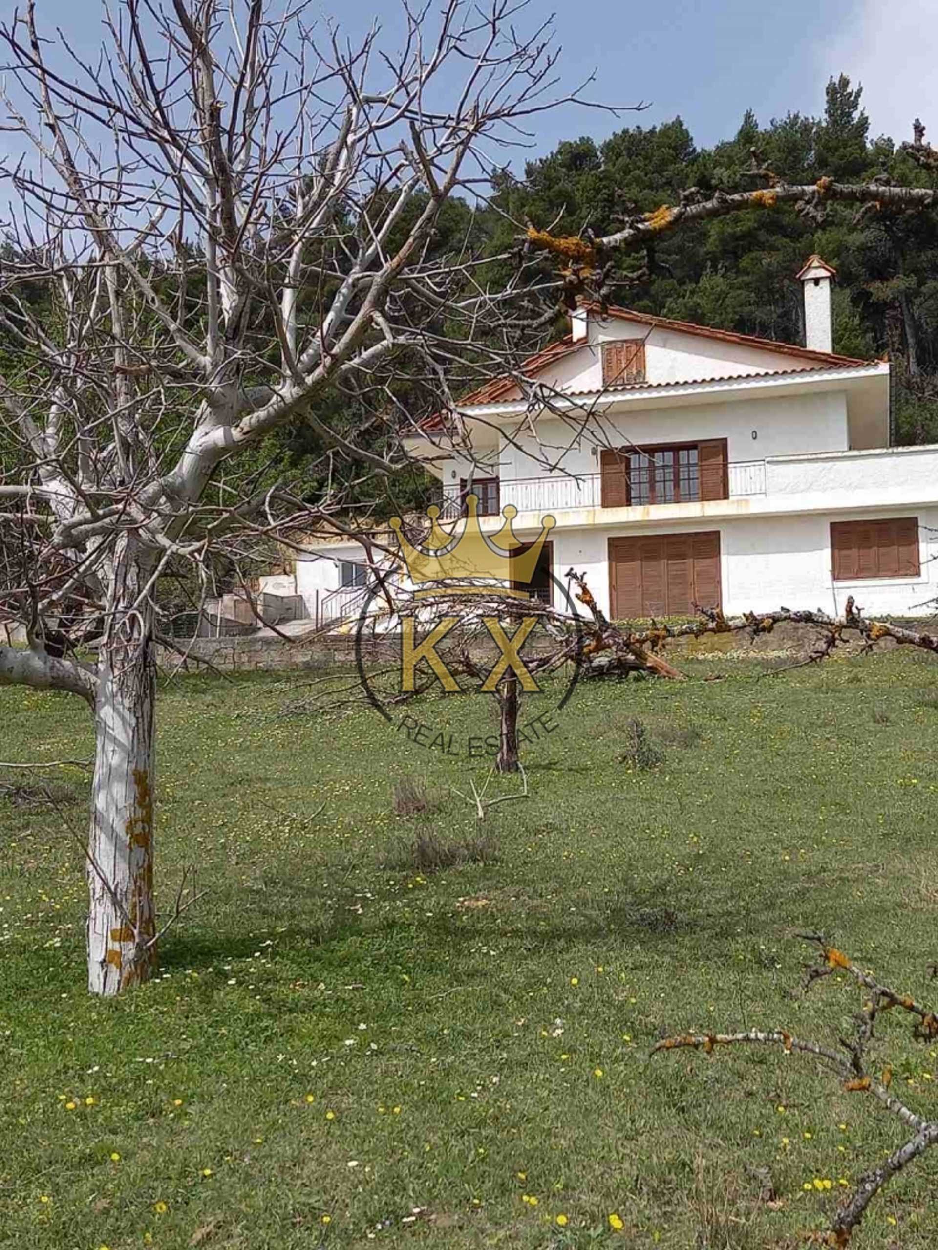 בית, אורופוס, אתונה