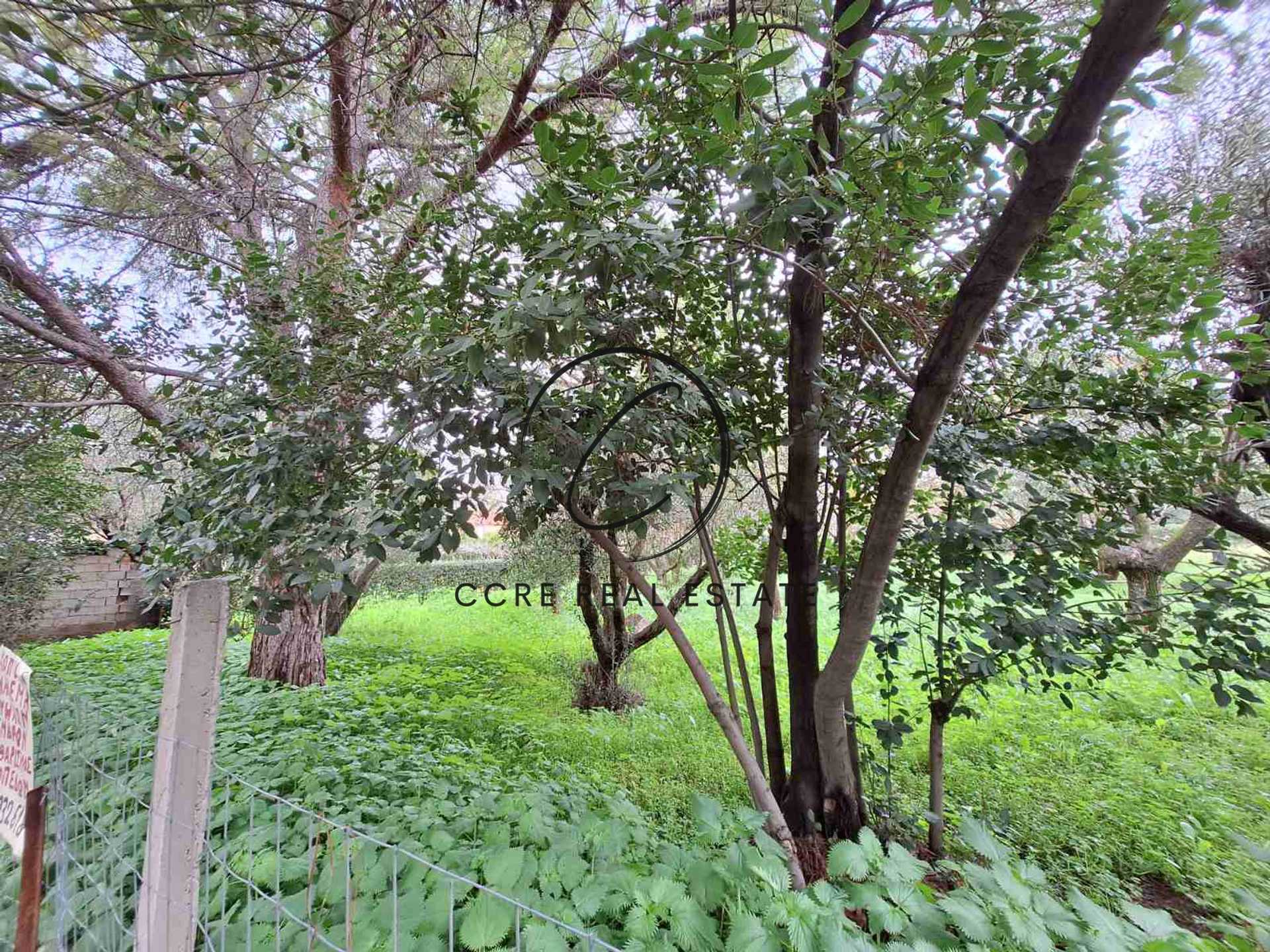 Property thumbnail 4