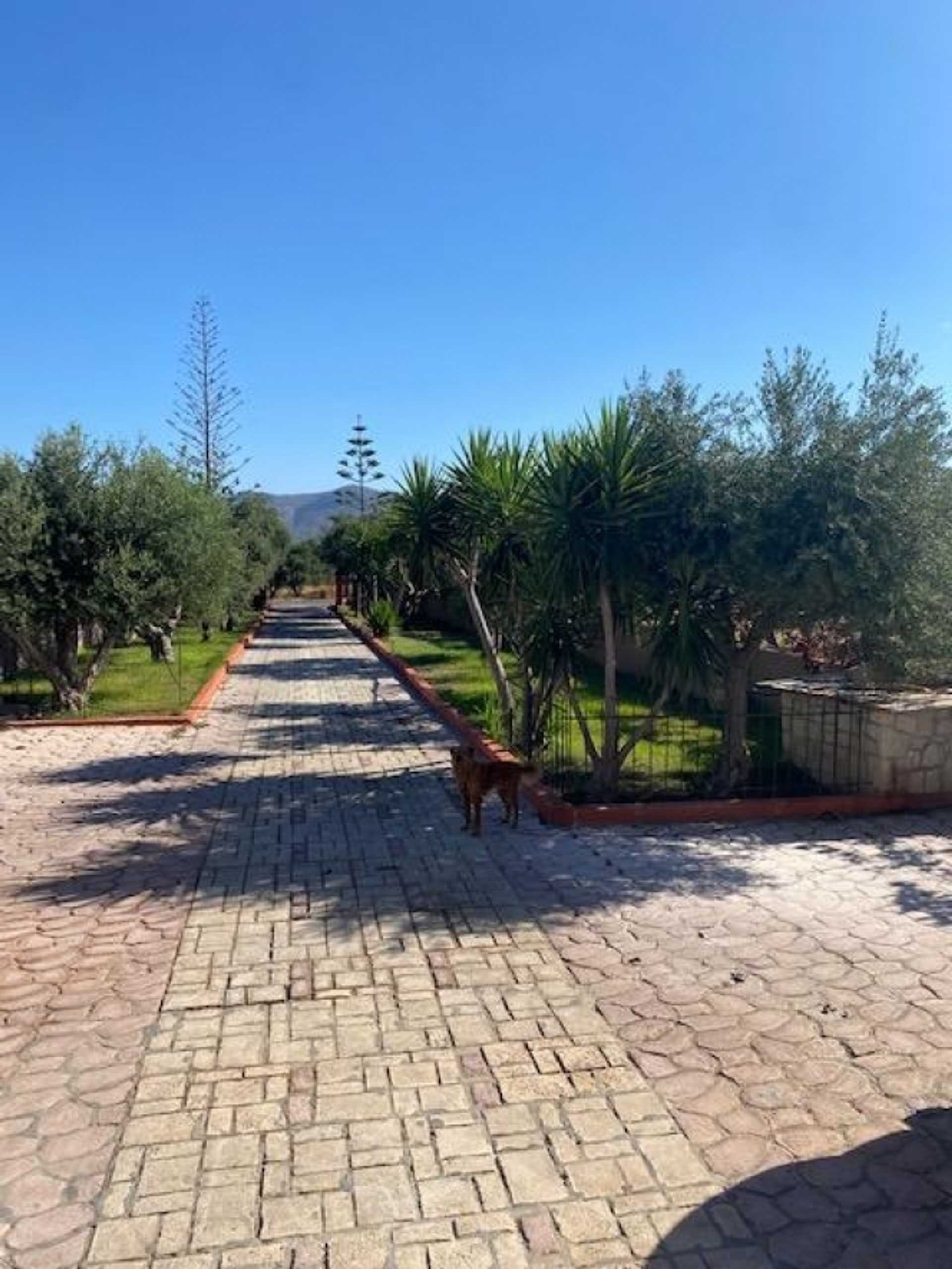 Property thumbnail 3