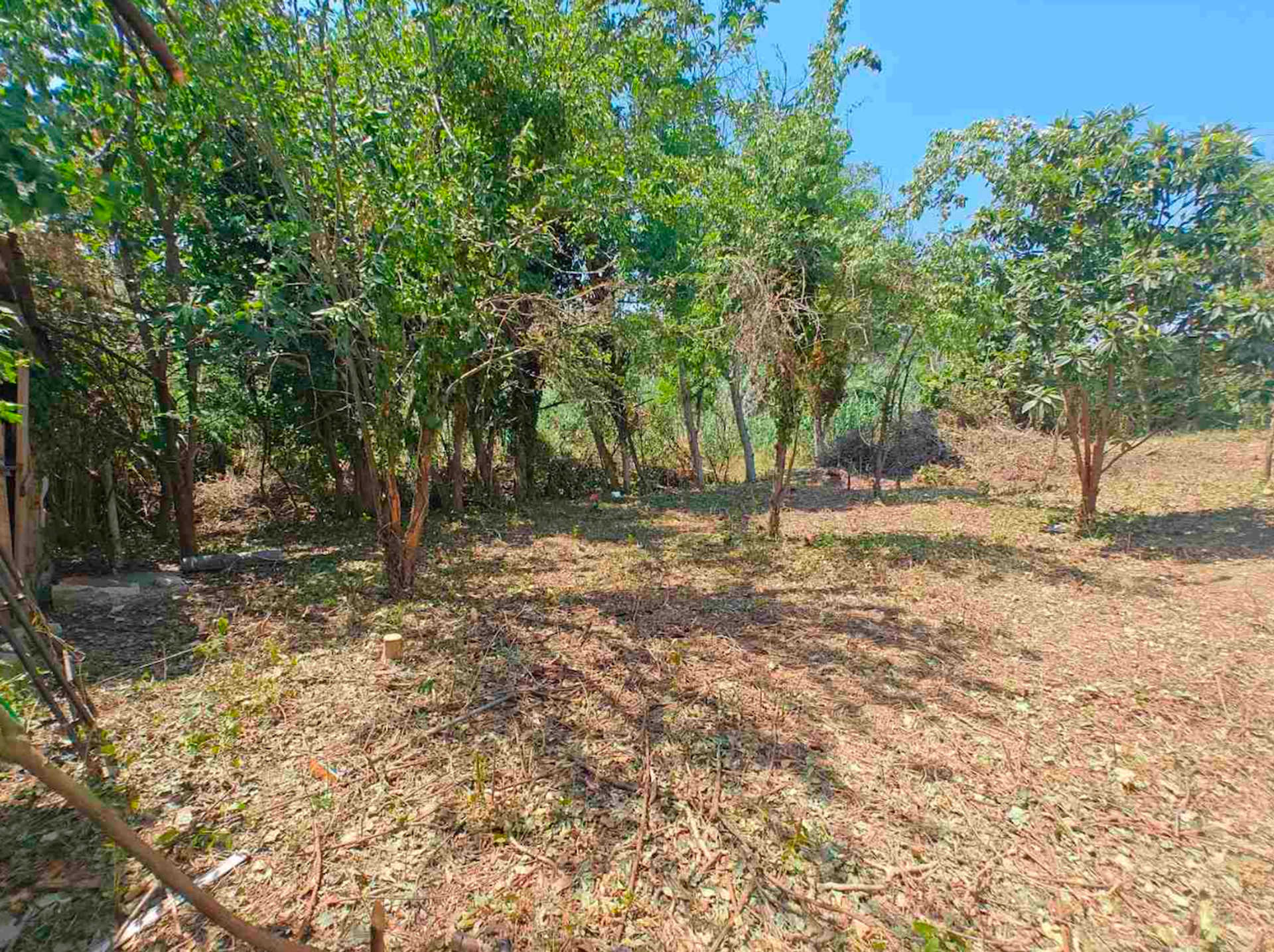 Property thumbnail 4