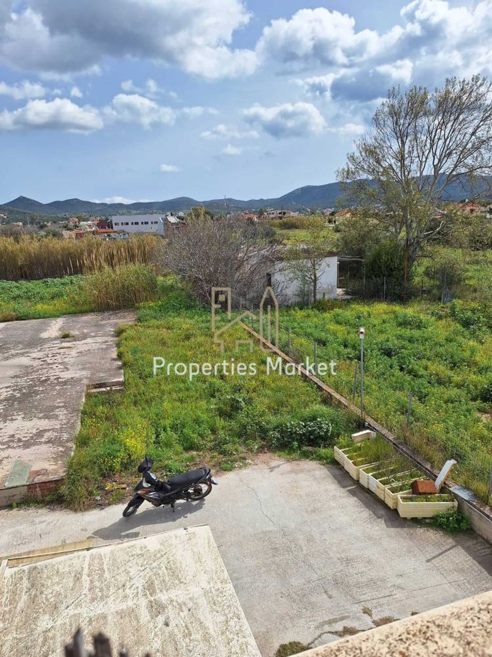 Property thumbnail 3