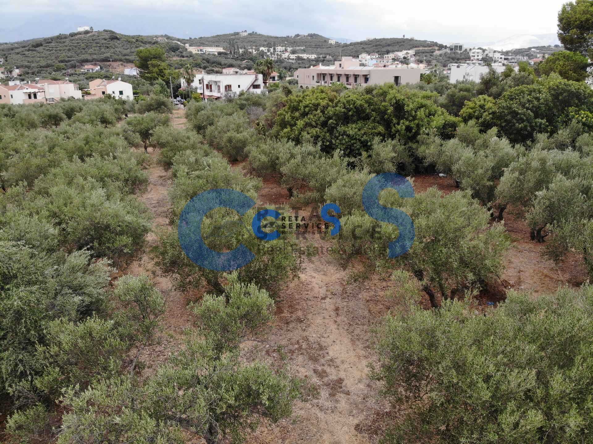 Property thumbnail 3