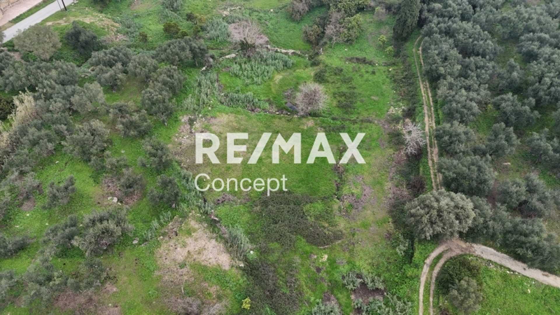 Property thumbnail 3