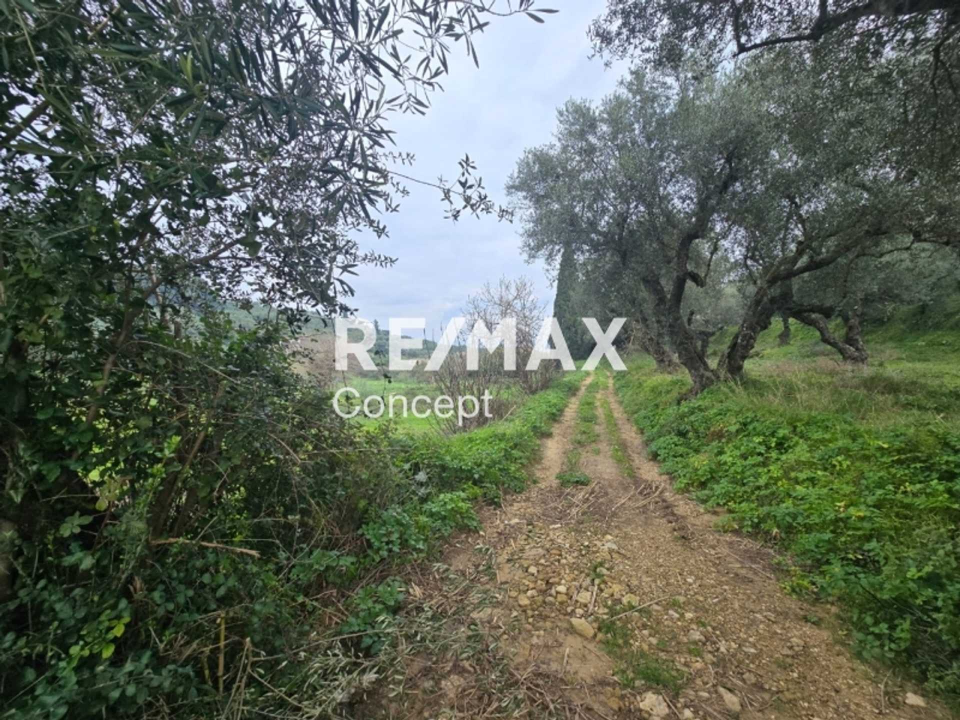 Property thumbnail 4