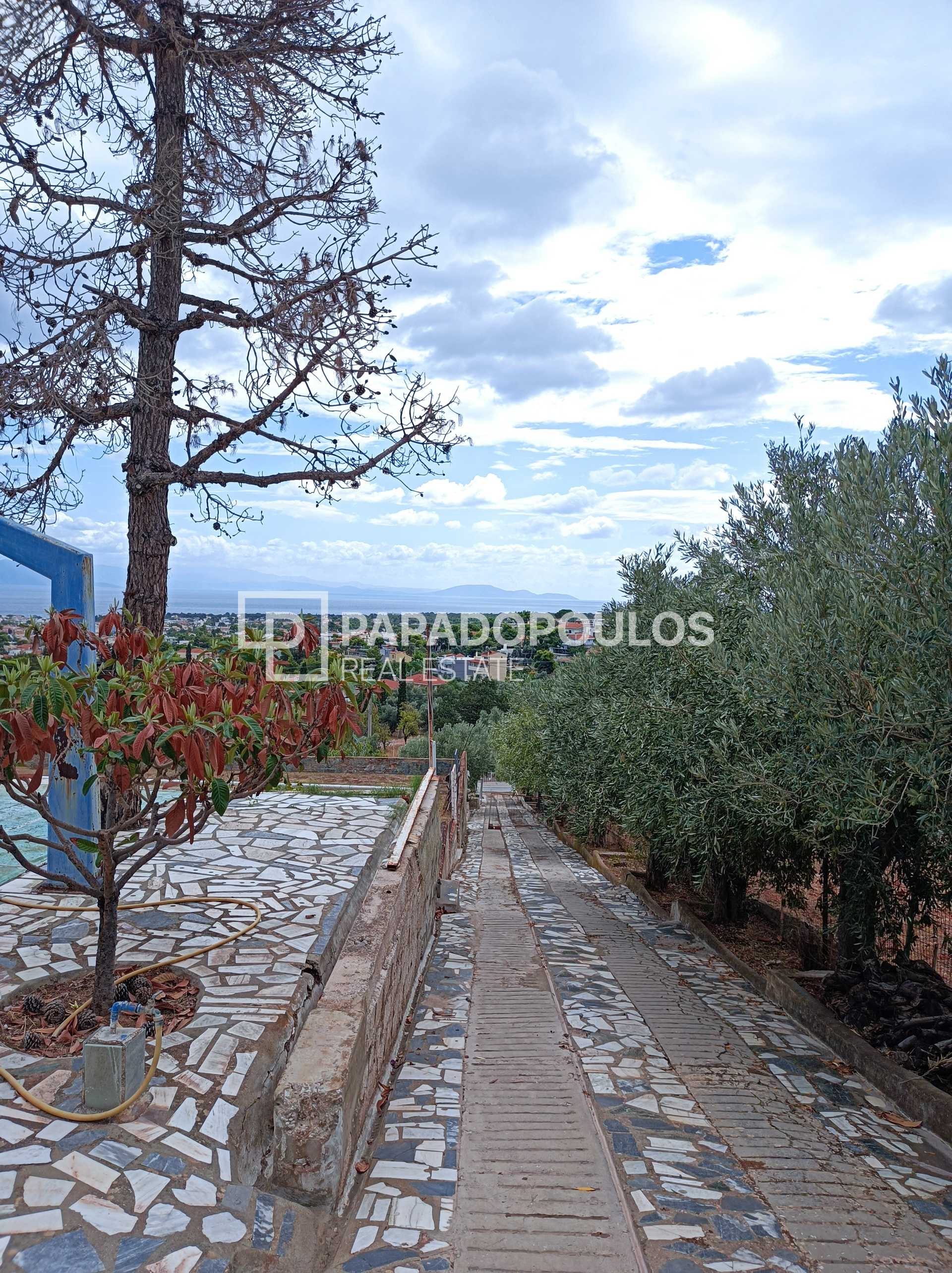 Property thumbnail 4