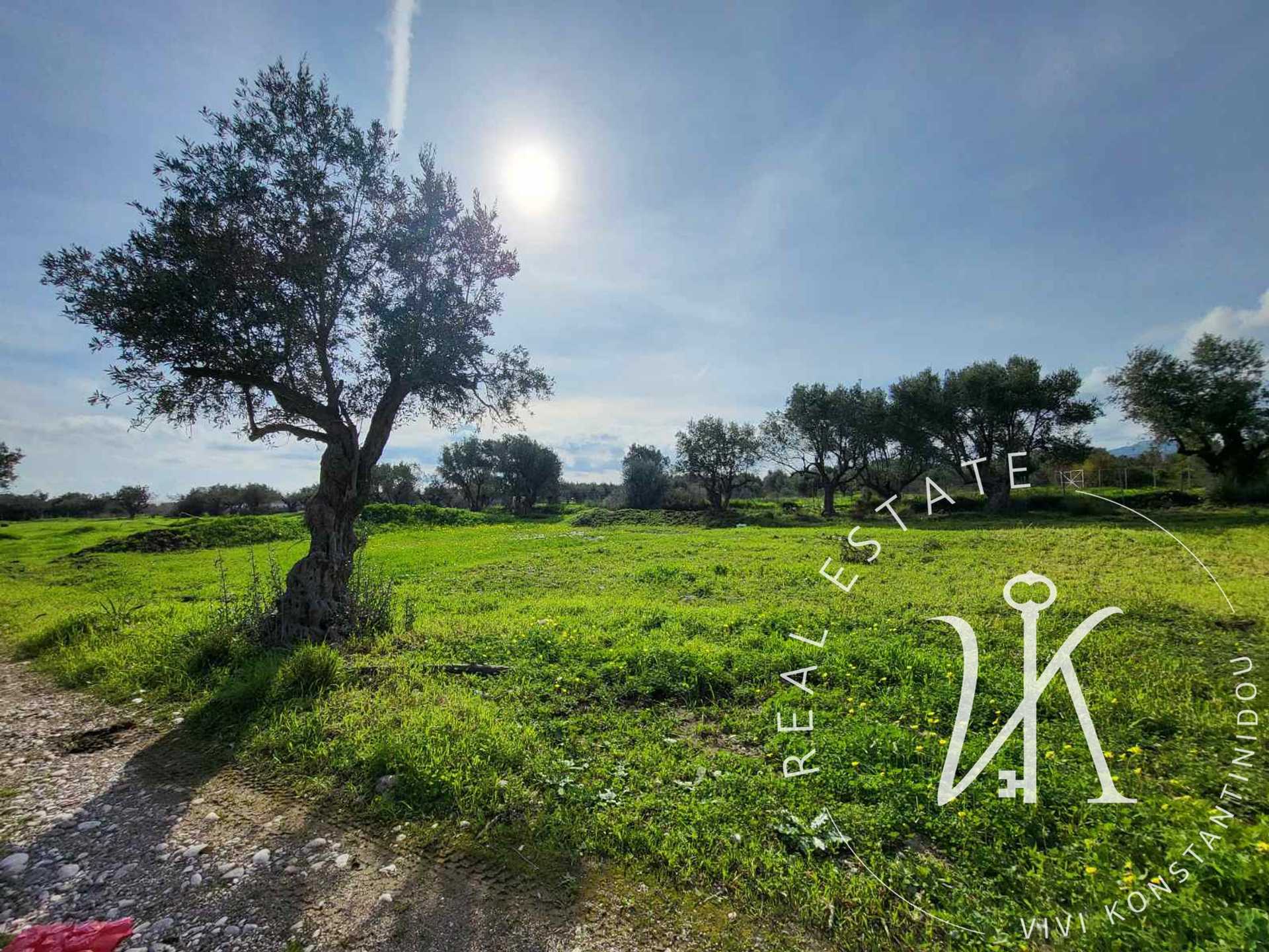 Property thumbnail 3