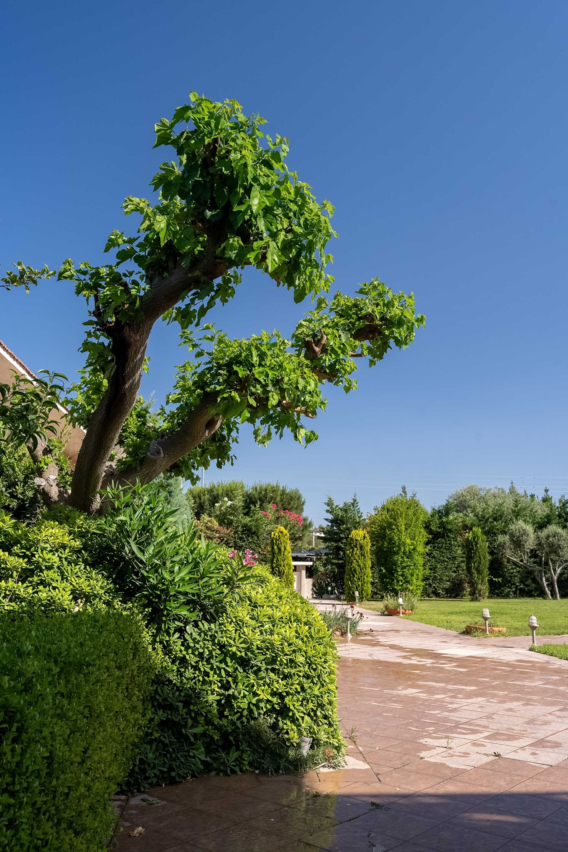 Property thumbnail 4