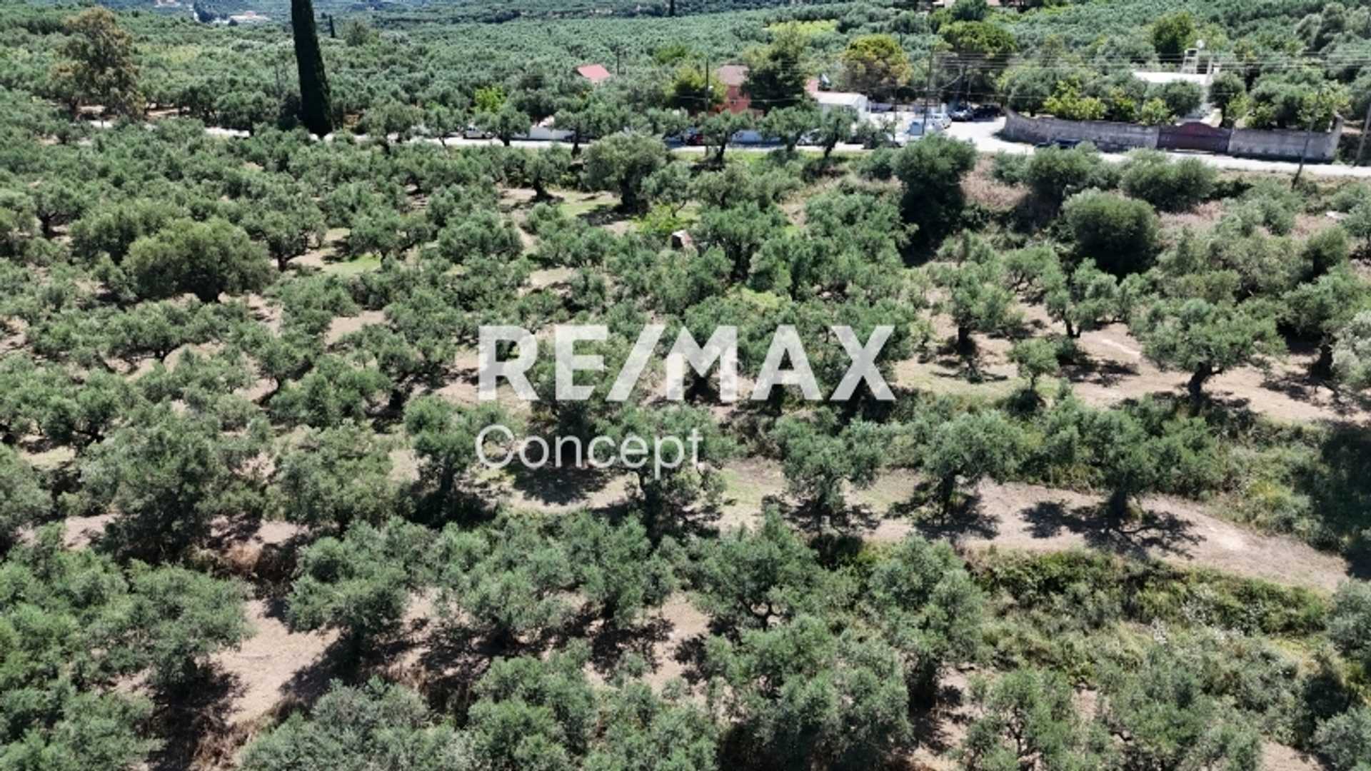 Property thumbnail 3