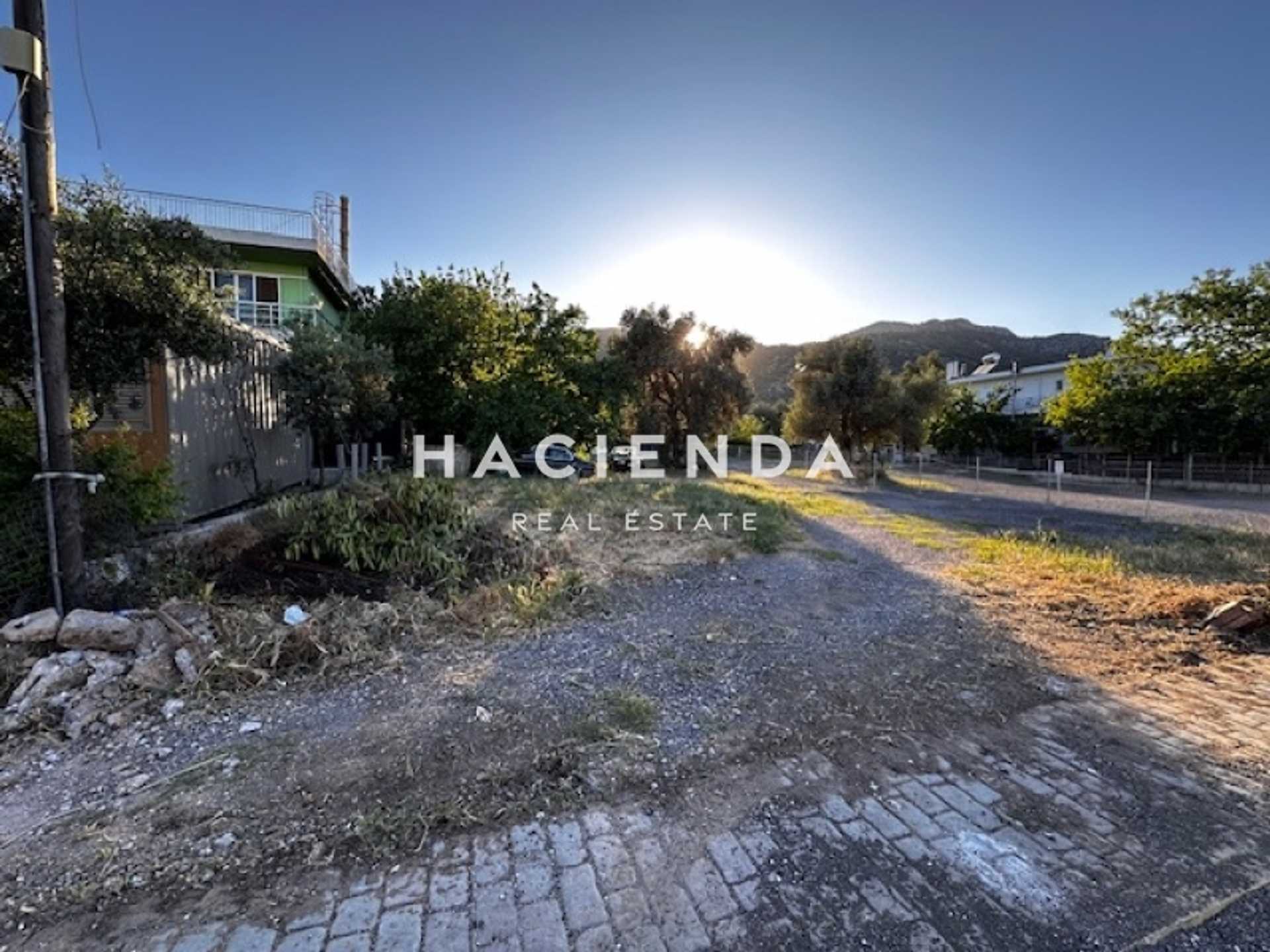 Property thumbnail 3