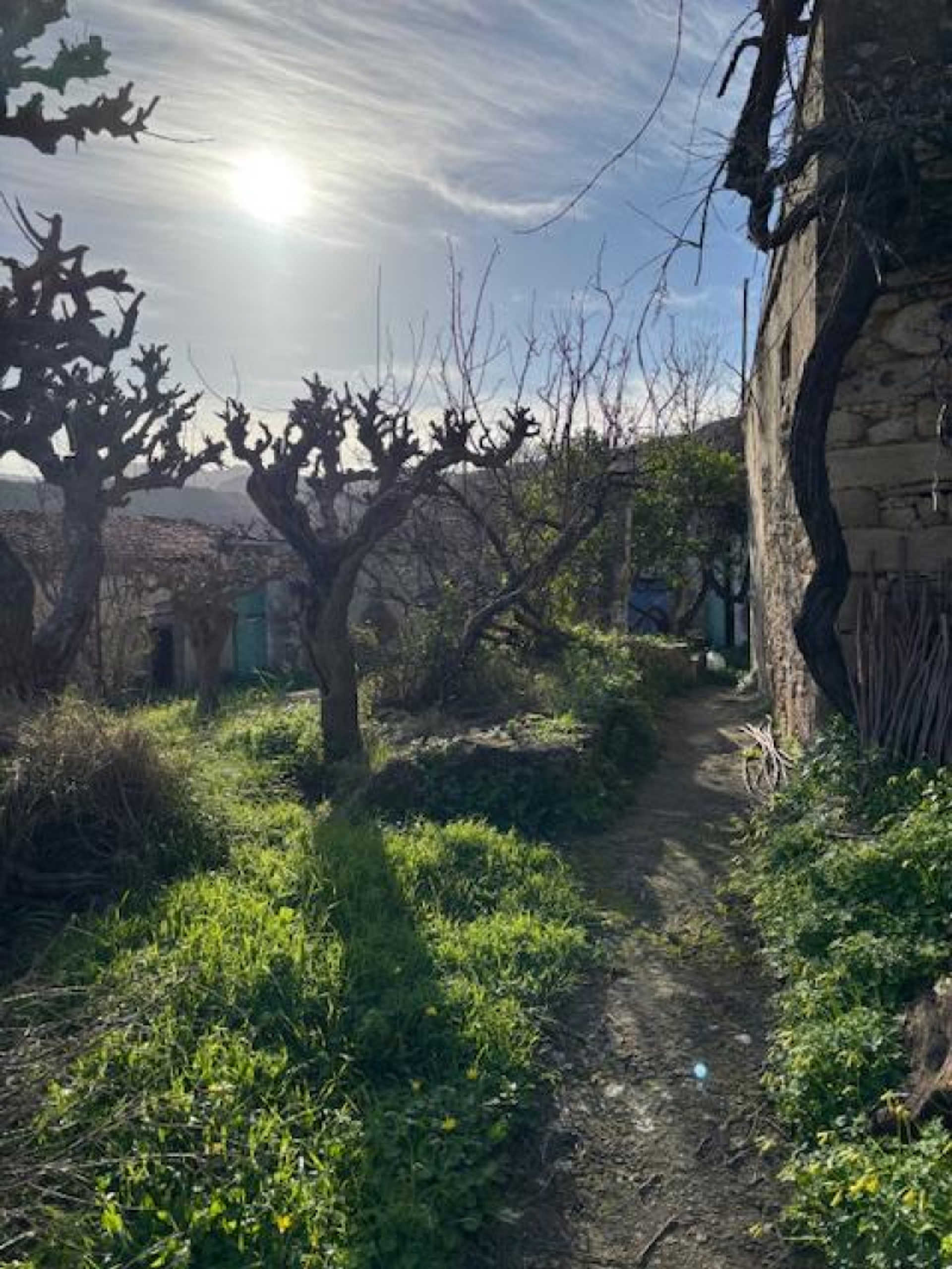 Property thumbnail 4