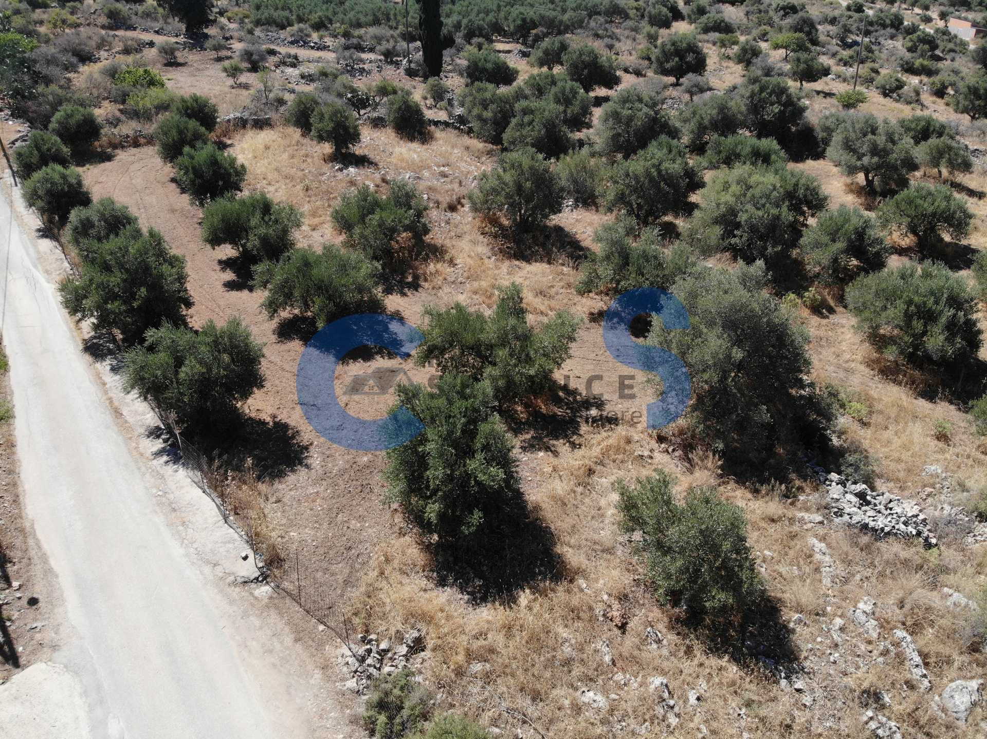 Property thumbnail 2