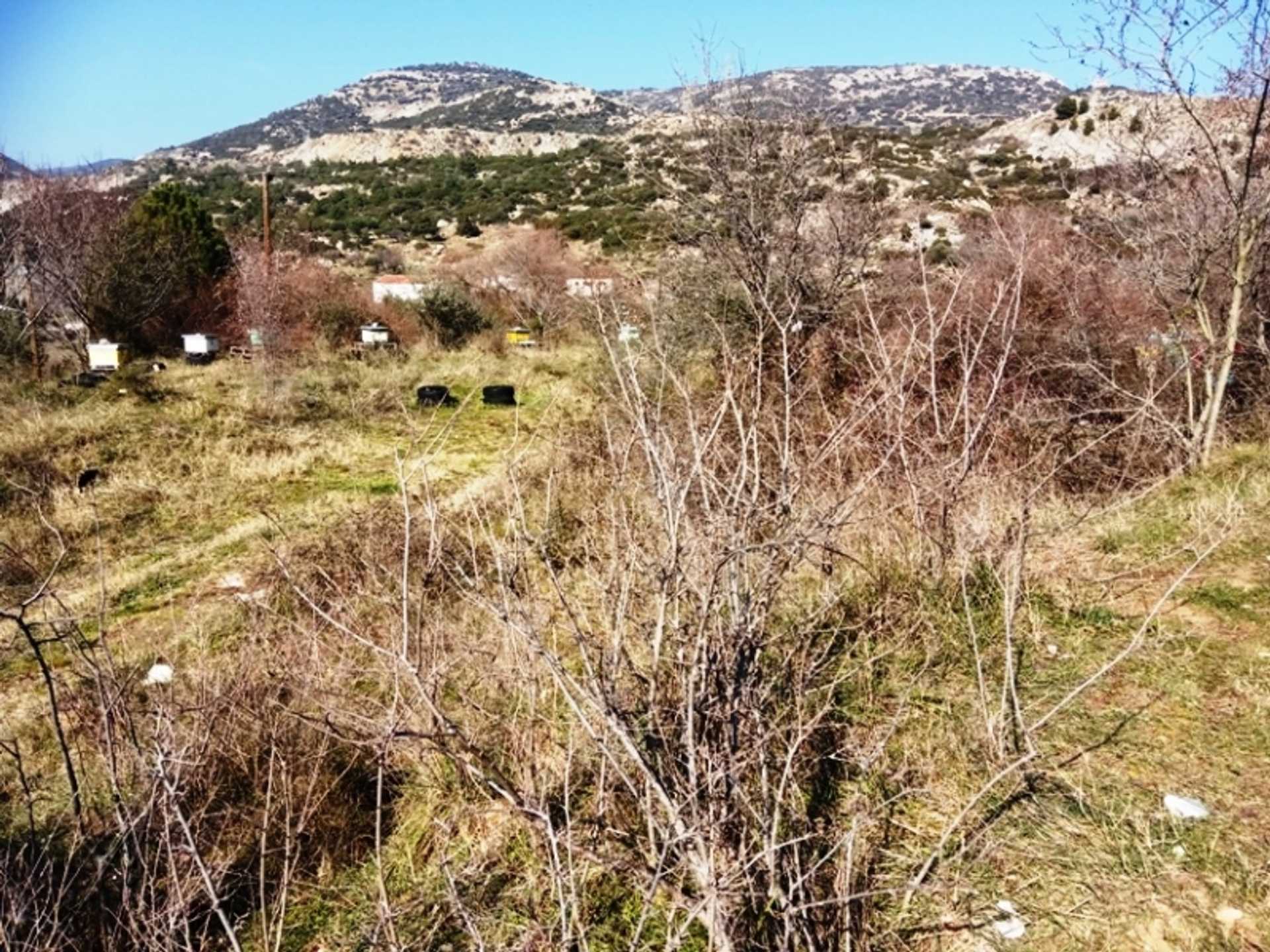 Property thumbnail 3