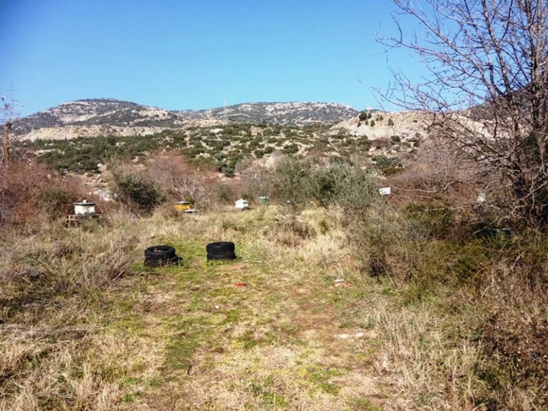 Property thumbnail 4