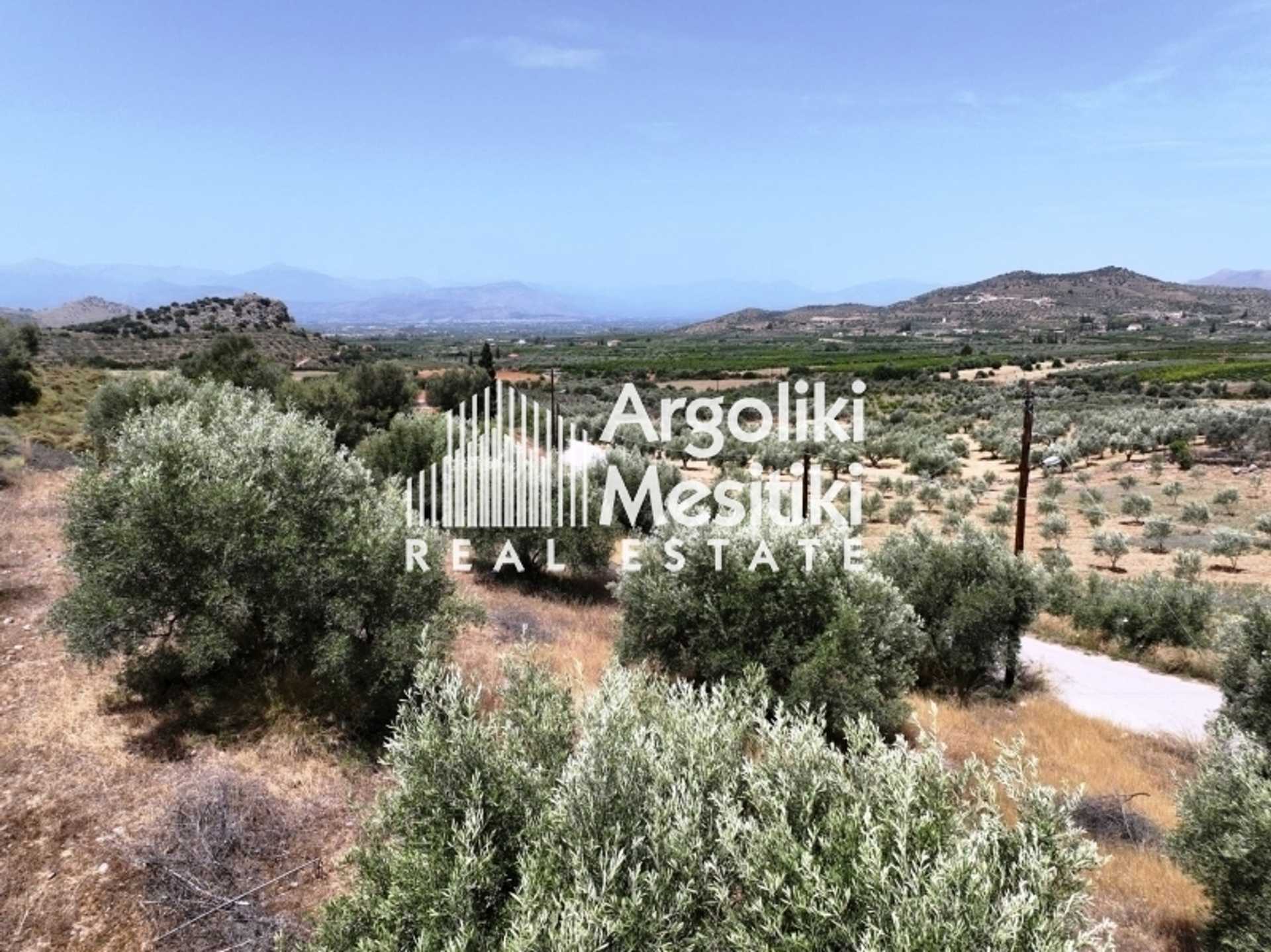 Property thumbnail 4