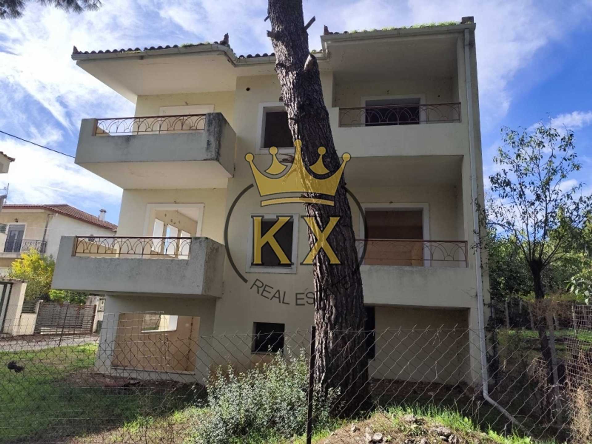 Property thumbnail 3