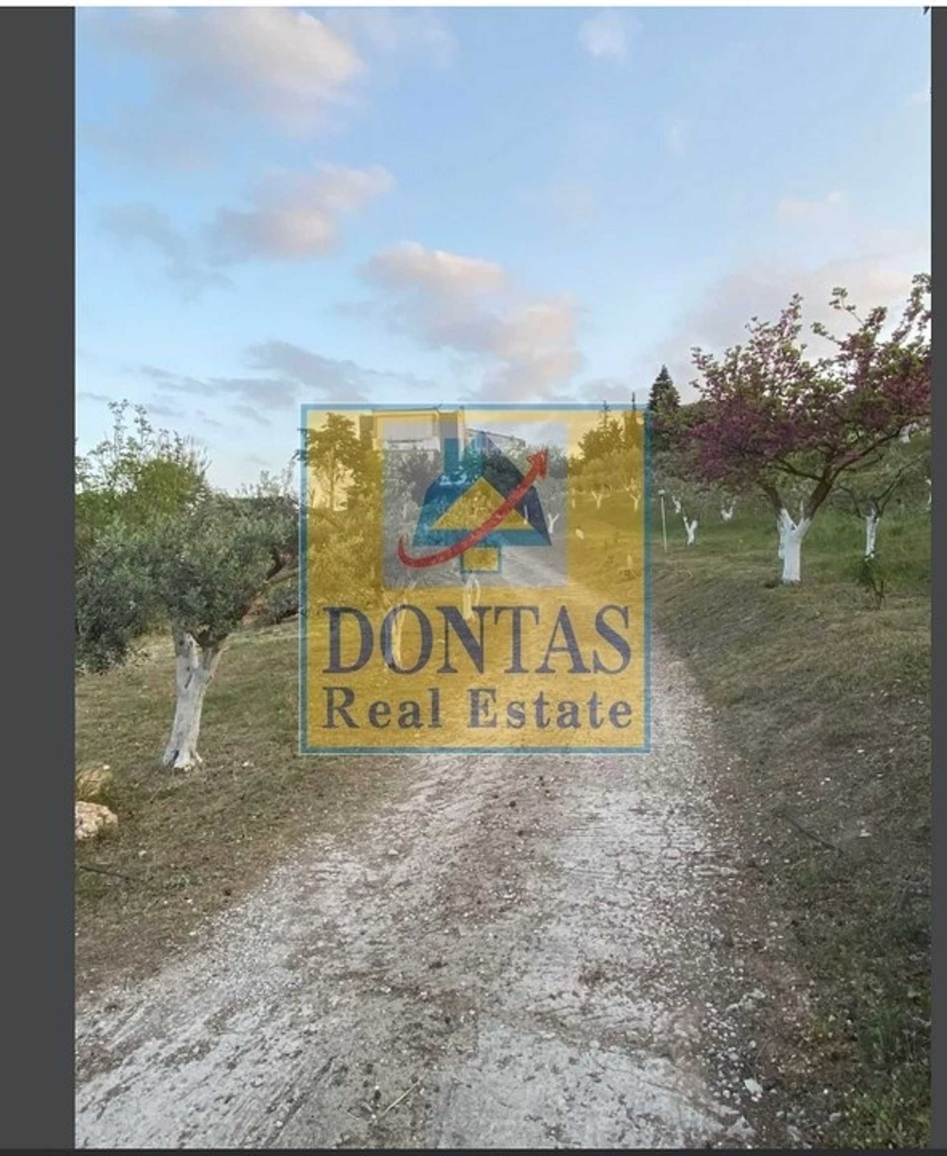 Property thumbnail 4