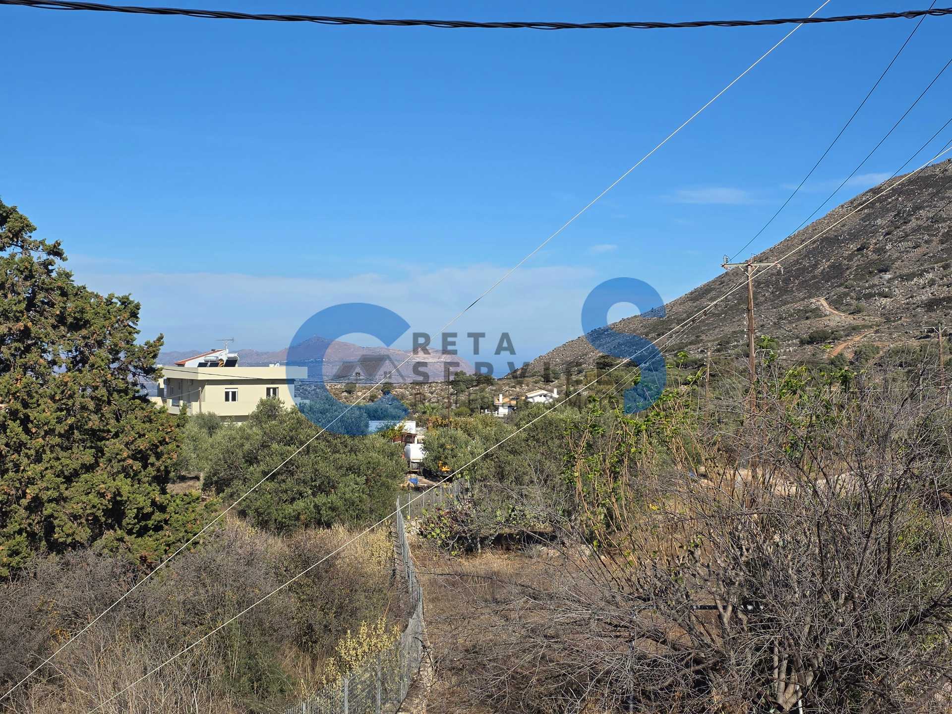 Property thumbnail 3